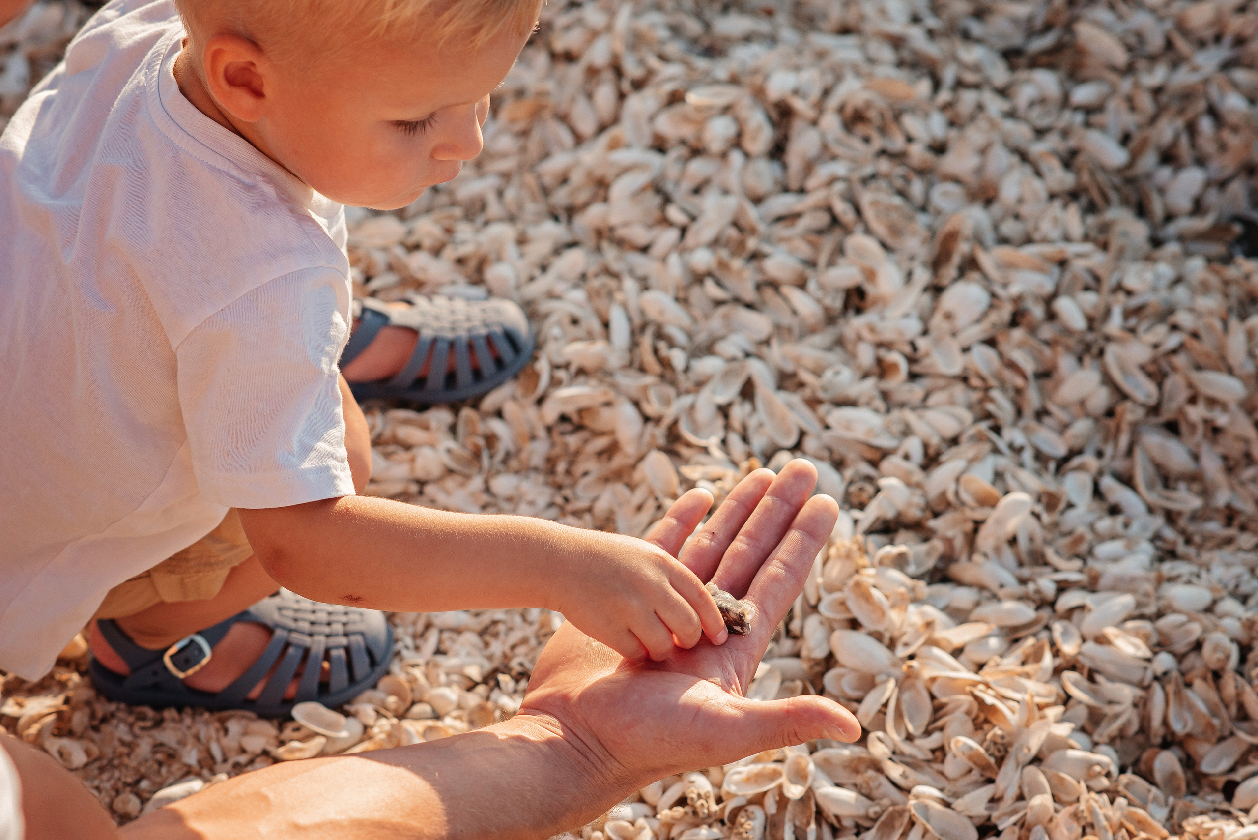 Прогулка. Детский и семейный фотограф выпускной альбом Приморско-Ахтарск