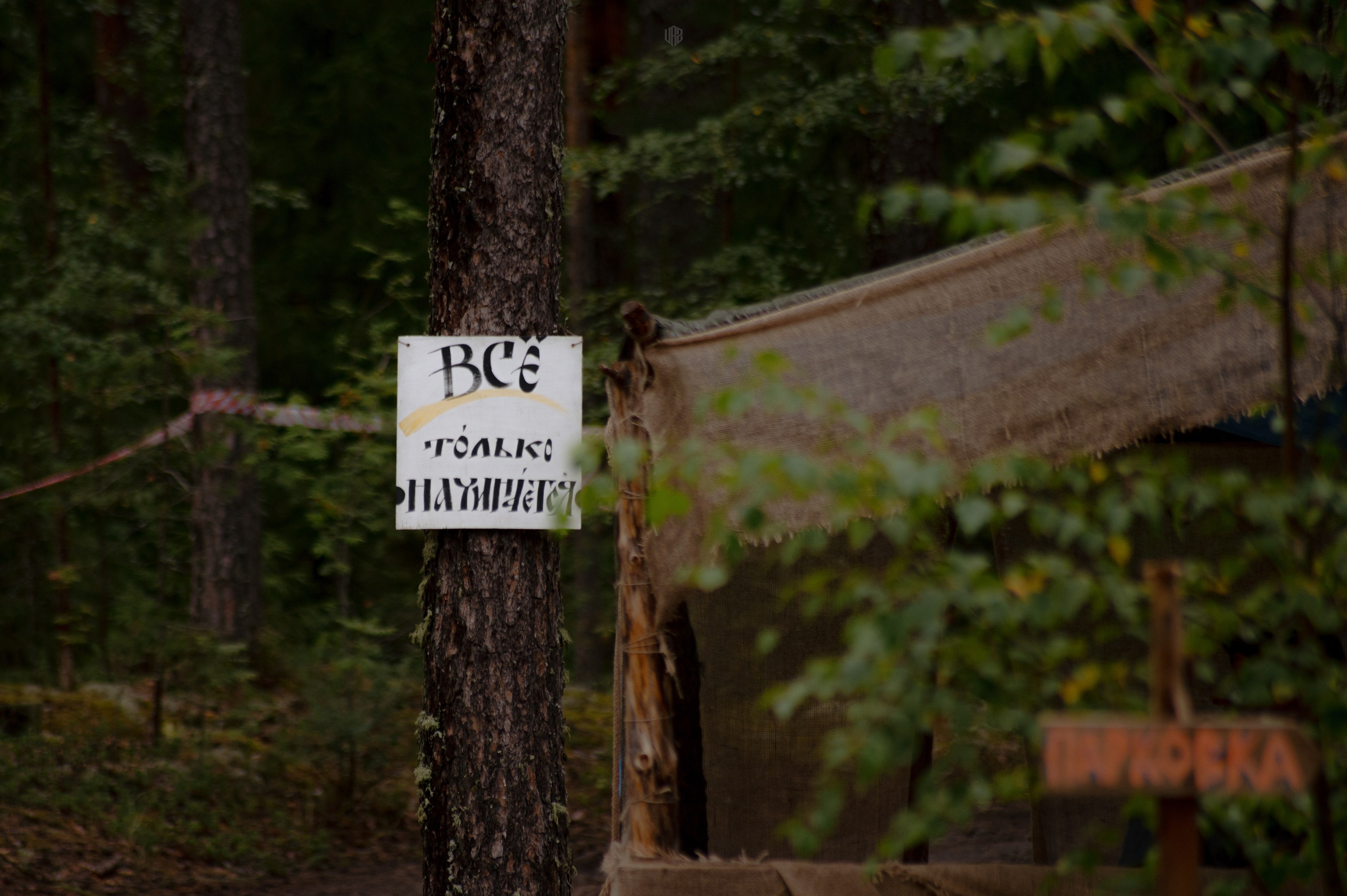 METADREAMS 2024. Контент фотограф Илья Урс