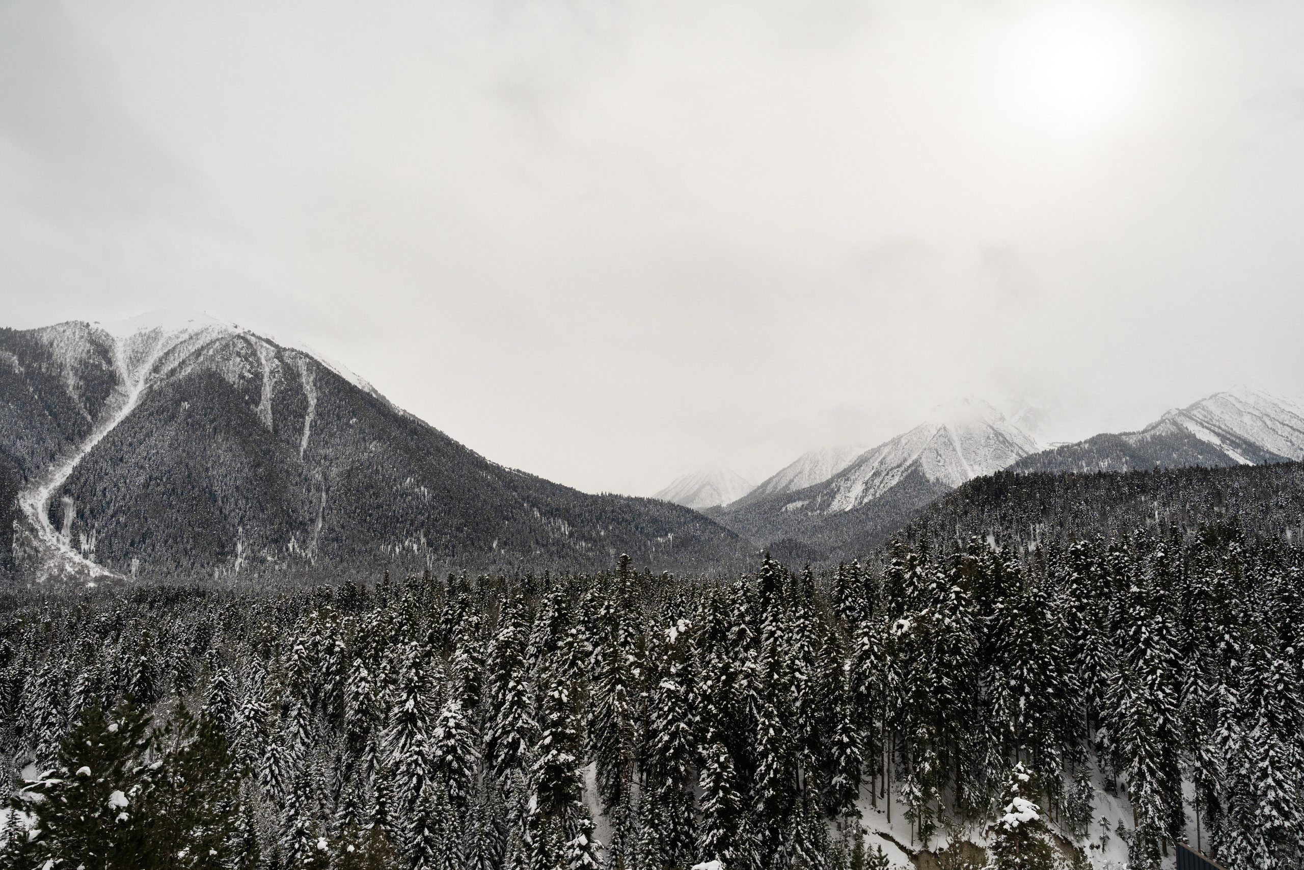 Sofia Shale. Фотограф и видеограф Елена Хмелевская