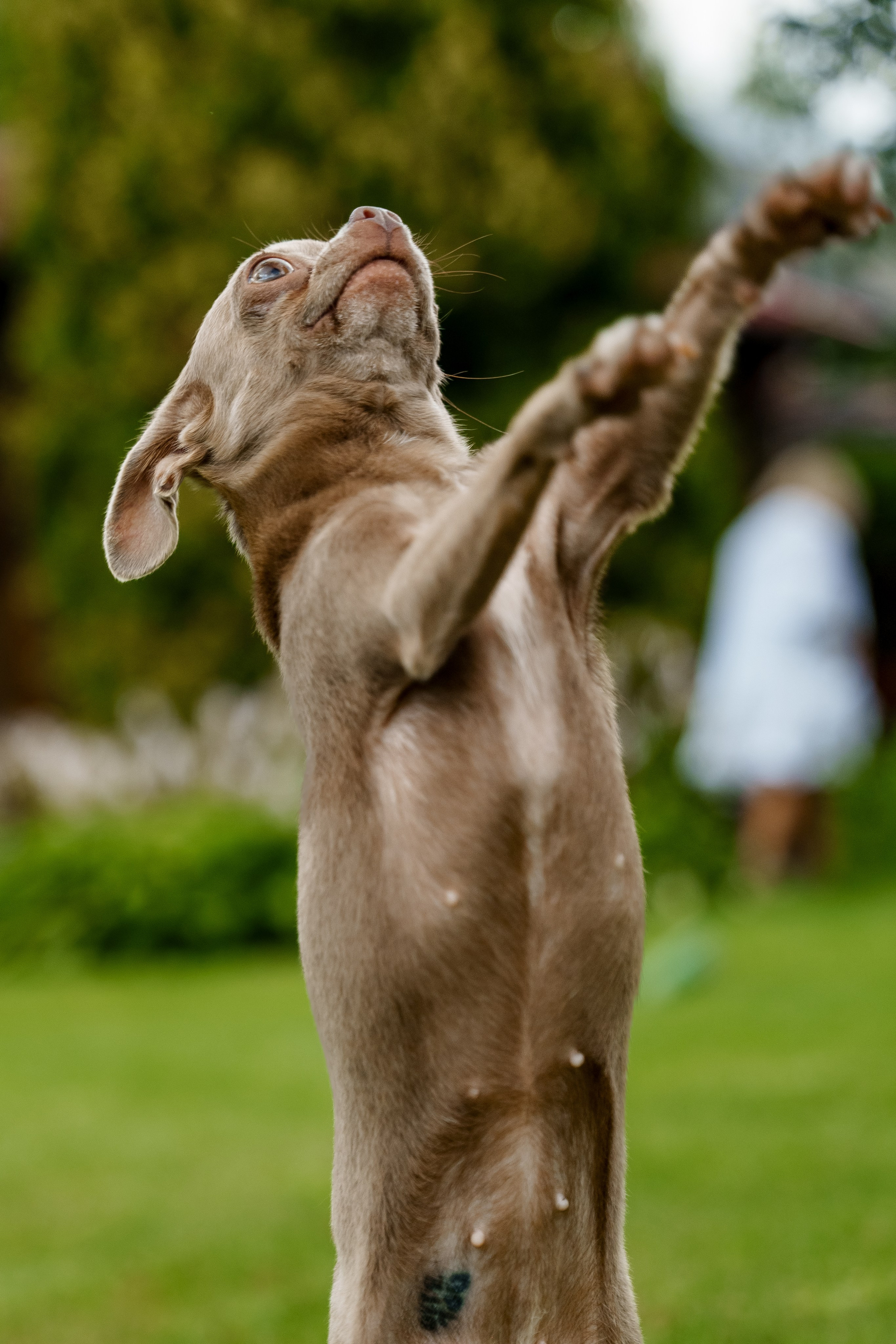Ева 1 год. Станислав Тюрин Фотограф Москва. Индивидуальные и семейные фотосессии;