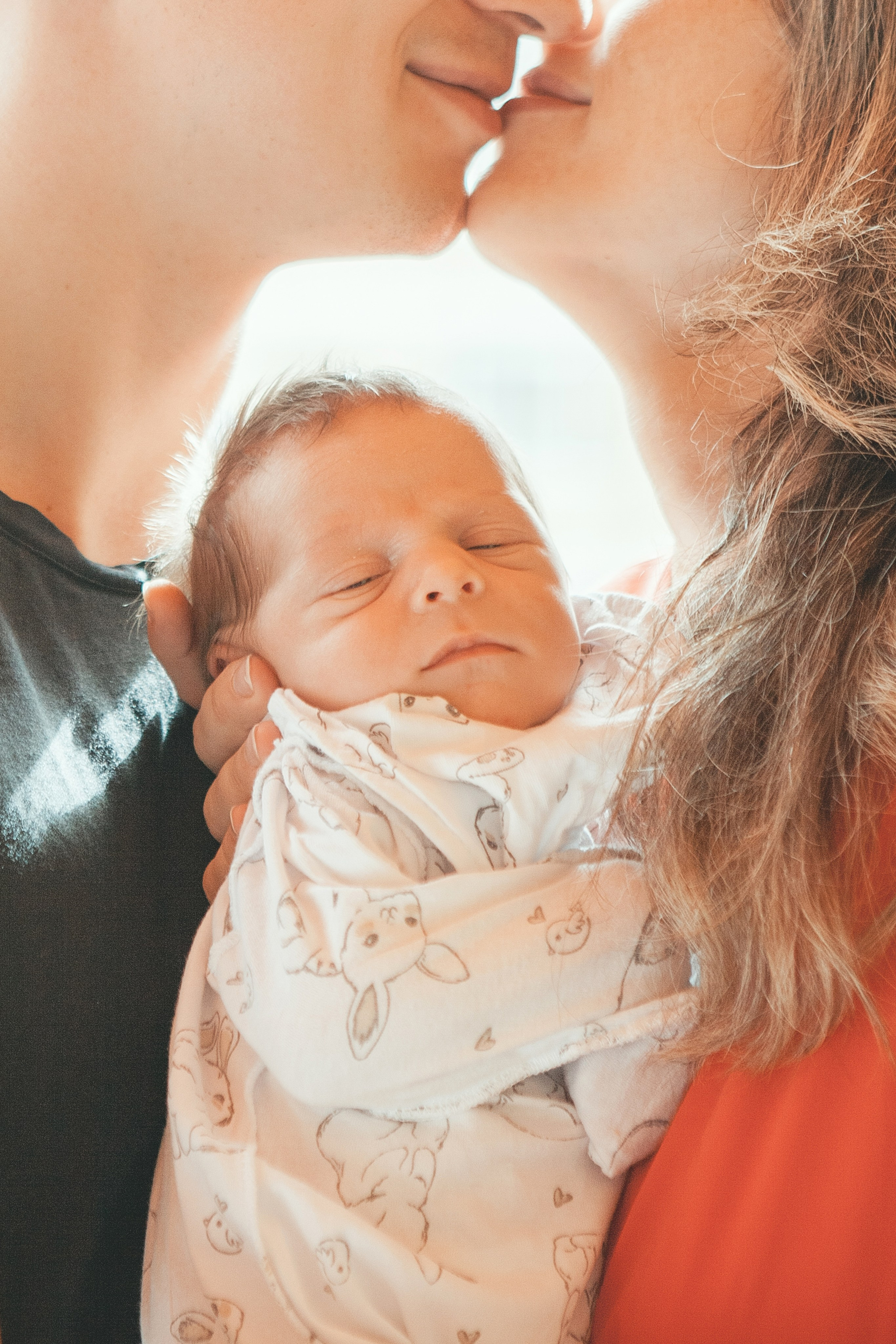 Гордей. Фотограф Ольга Ефремова