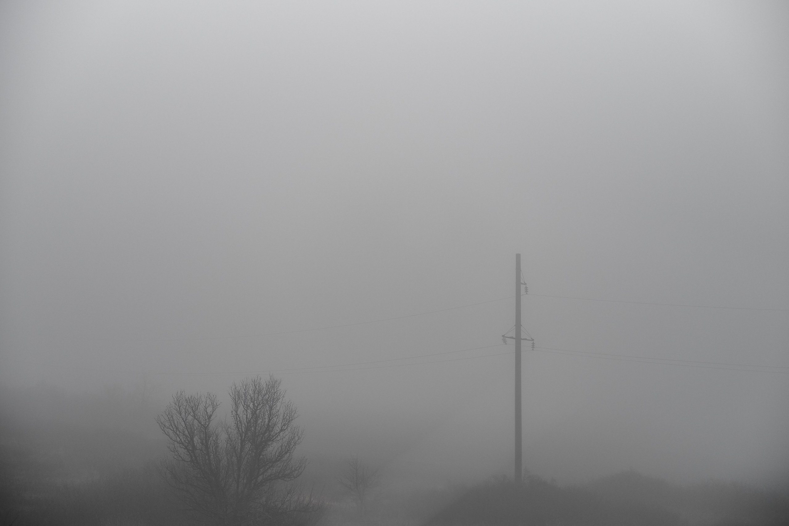 Дорога домой. Туман. Фотограф Роман Адлер