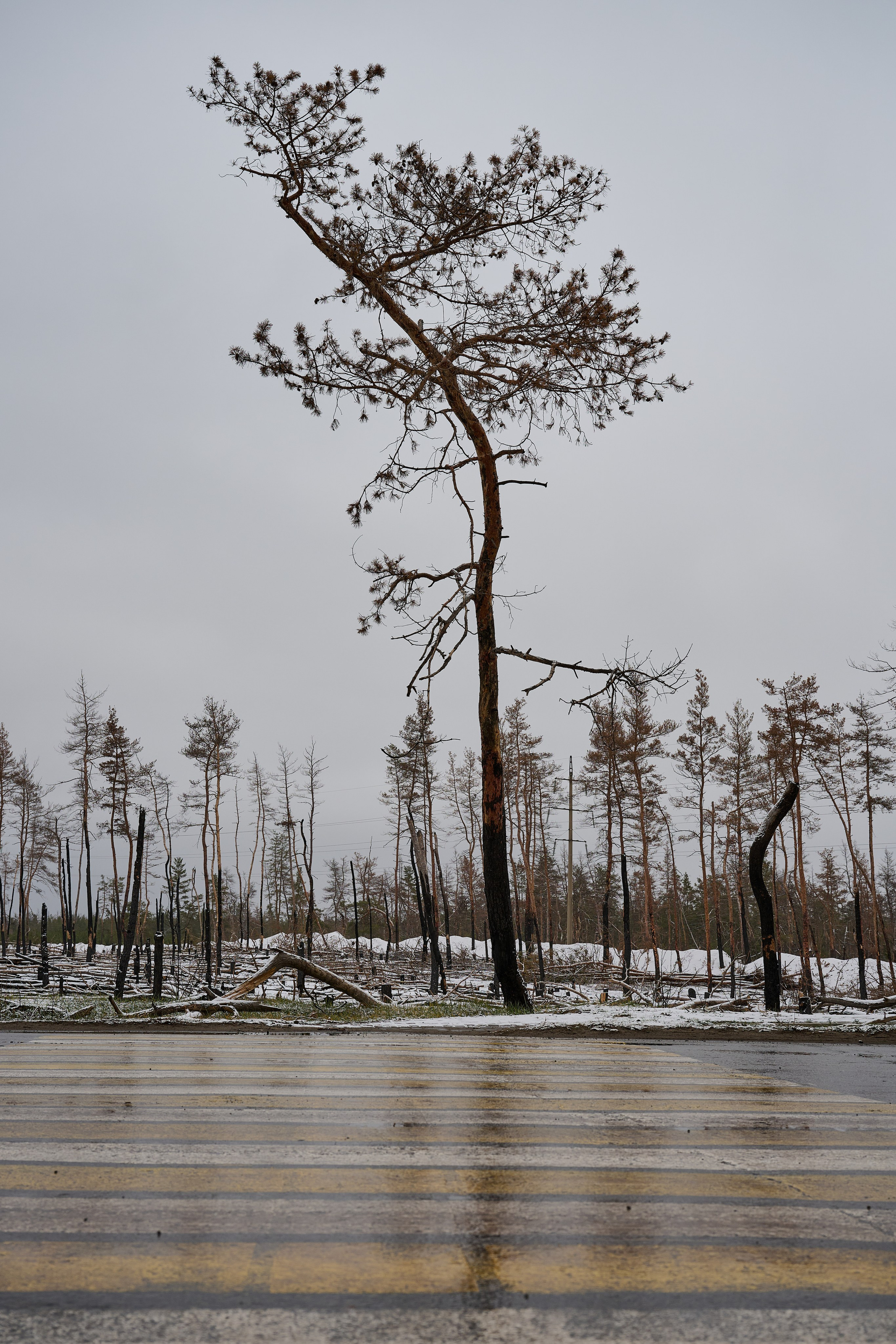 Северодонецк (Луганская область). Декабрь 2024. Фотограф Роман Адлер
