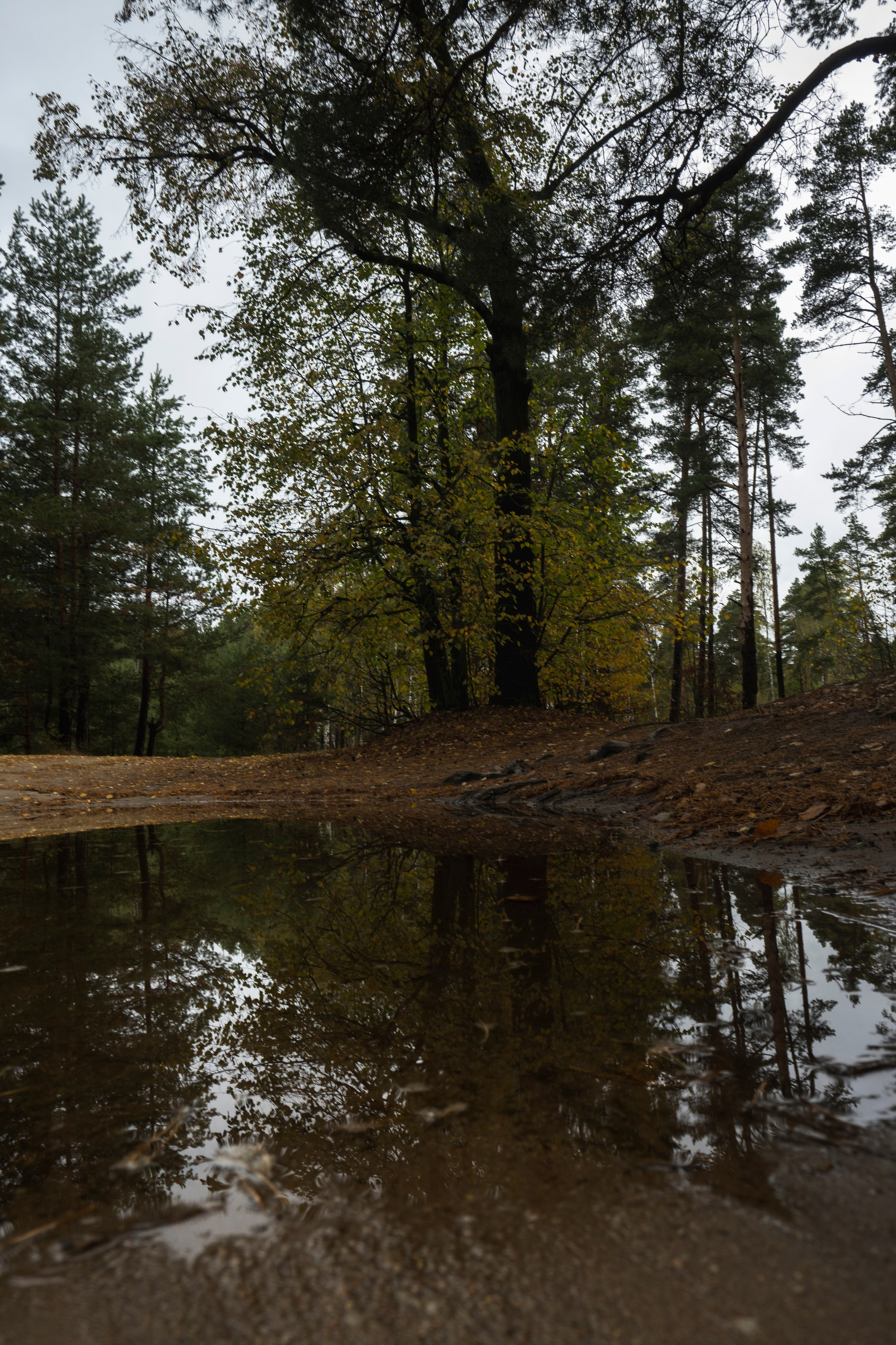 Фотопрогулка ДР. Фотограф Роман Адлер