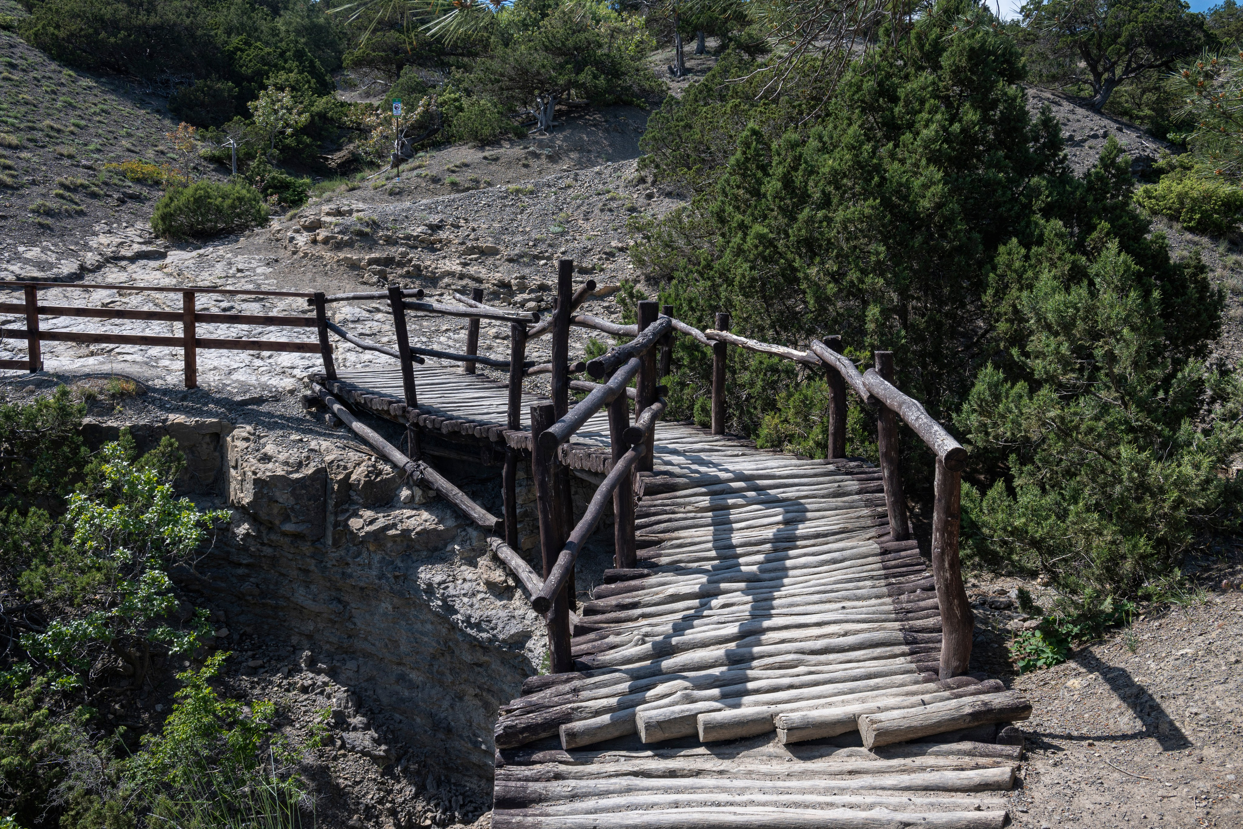 Крым май 2022. Фотограф Роман Адлер