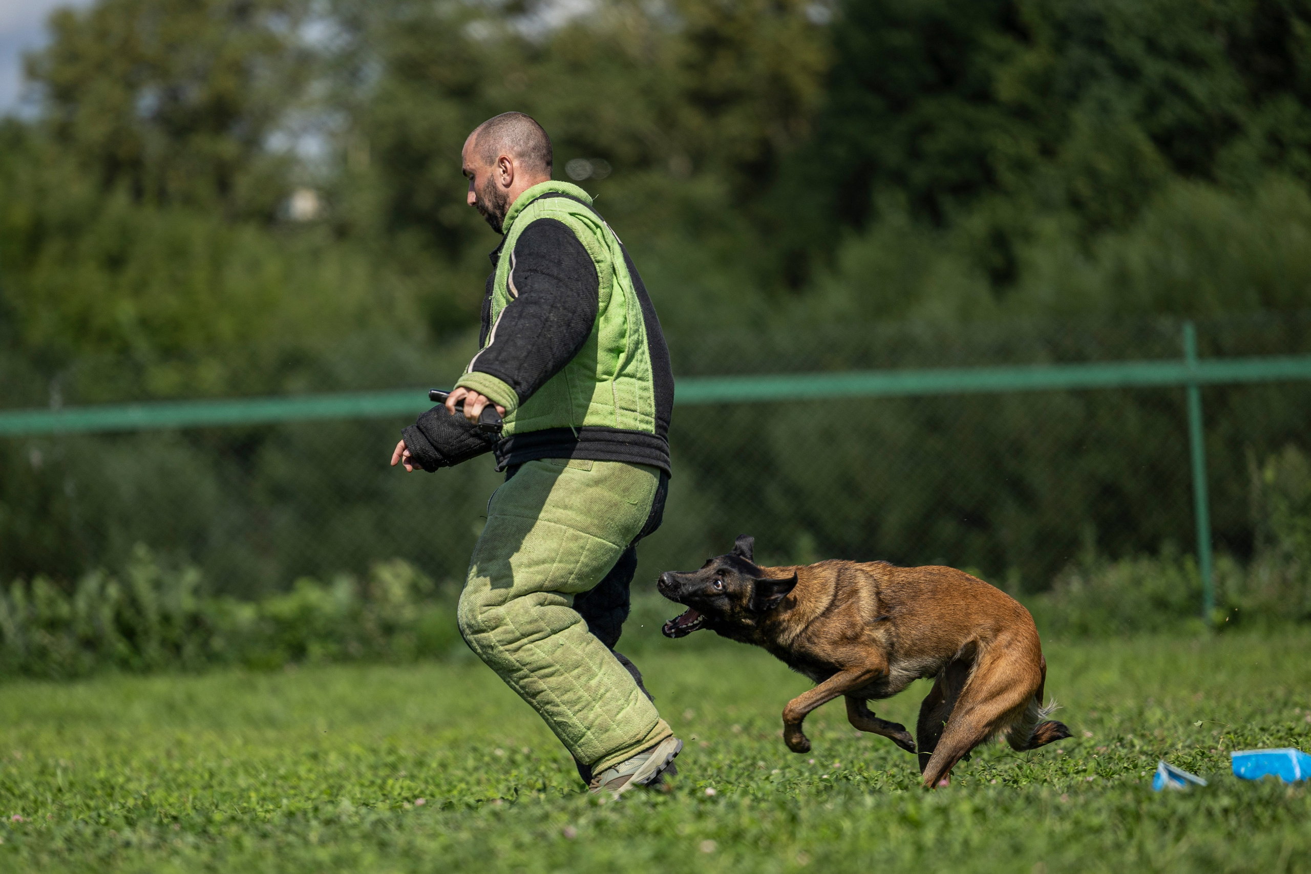 Соревнования по Мондьорингу г. Вологда 10-11.08.2024. Фотограф-анималист Анна Маринич