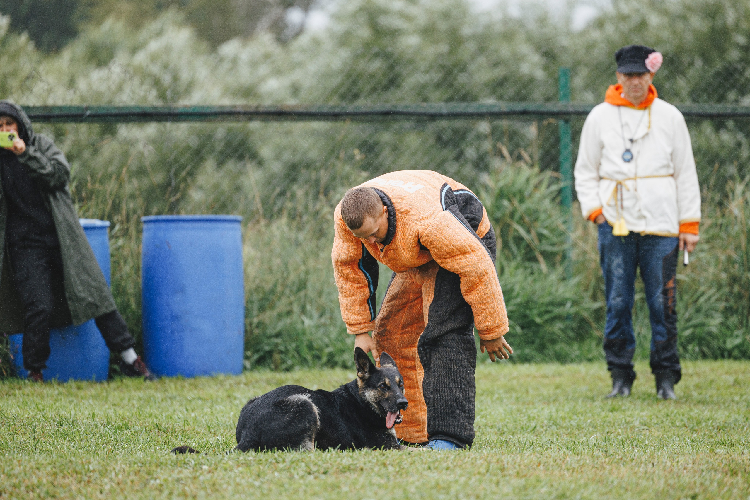 08.08.25-10.08.25 ЧР по мондьорингу г. Вологда. Фотограф-анималист Анна Маринич