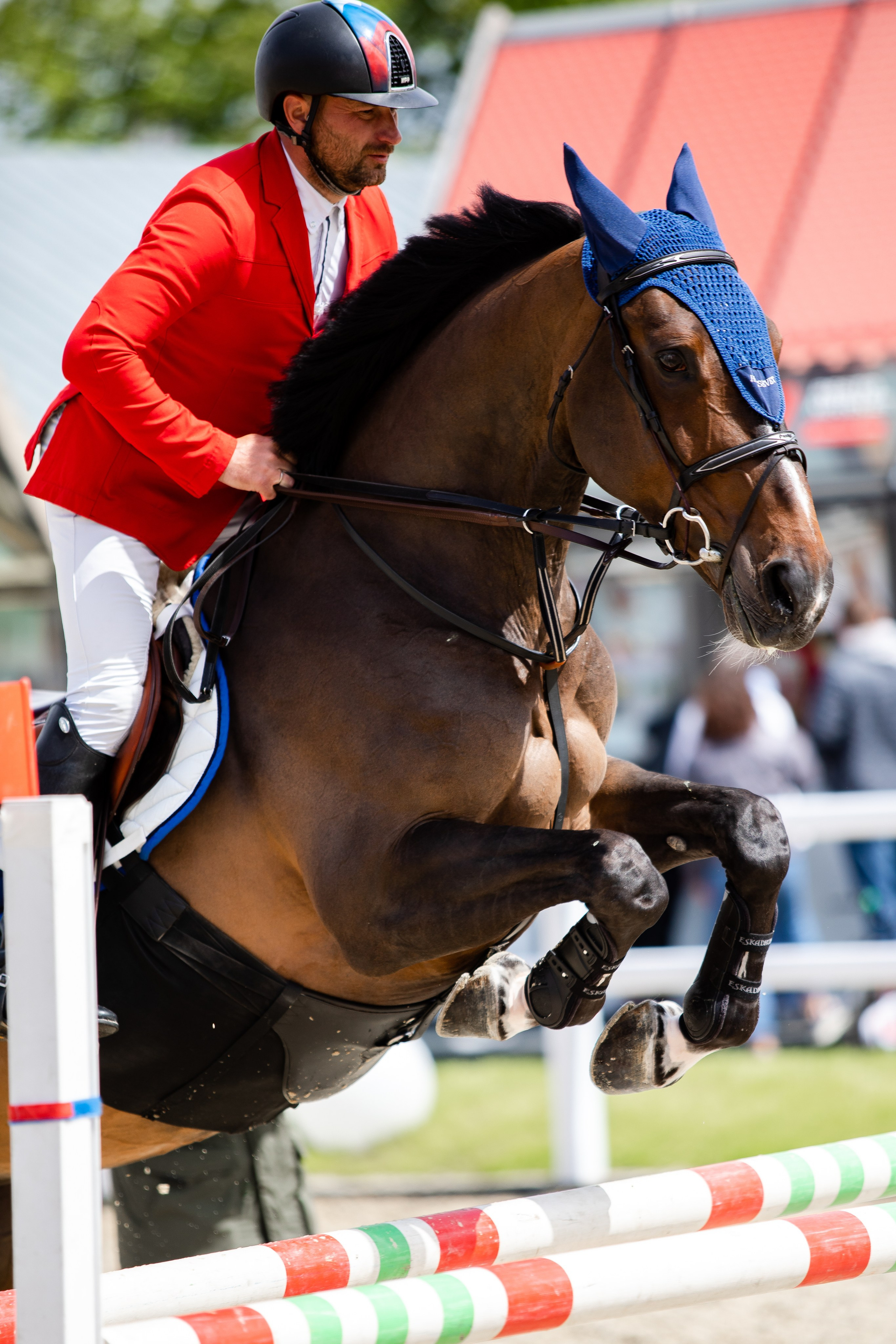 Турниры. Veronika Makeeva horse photo