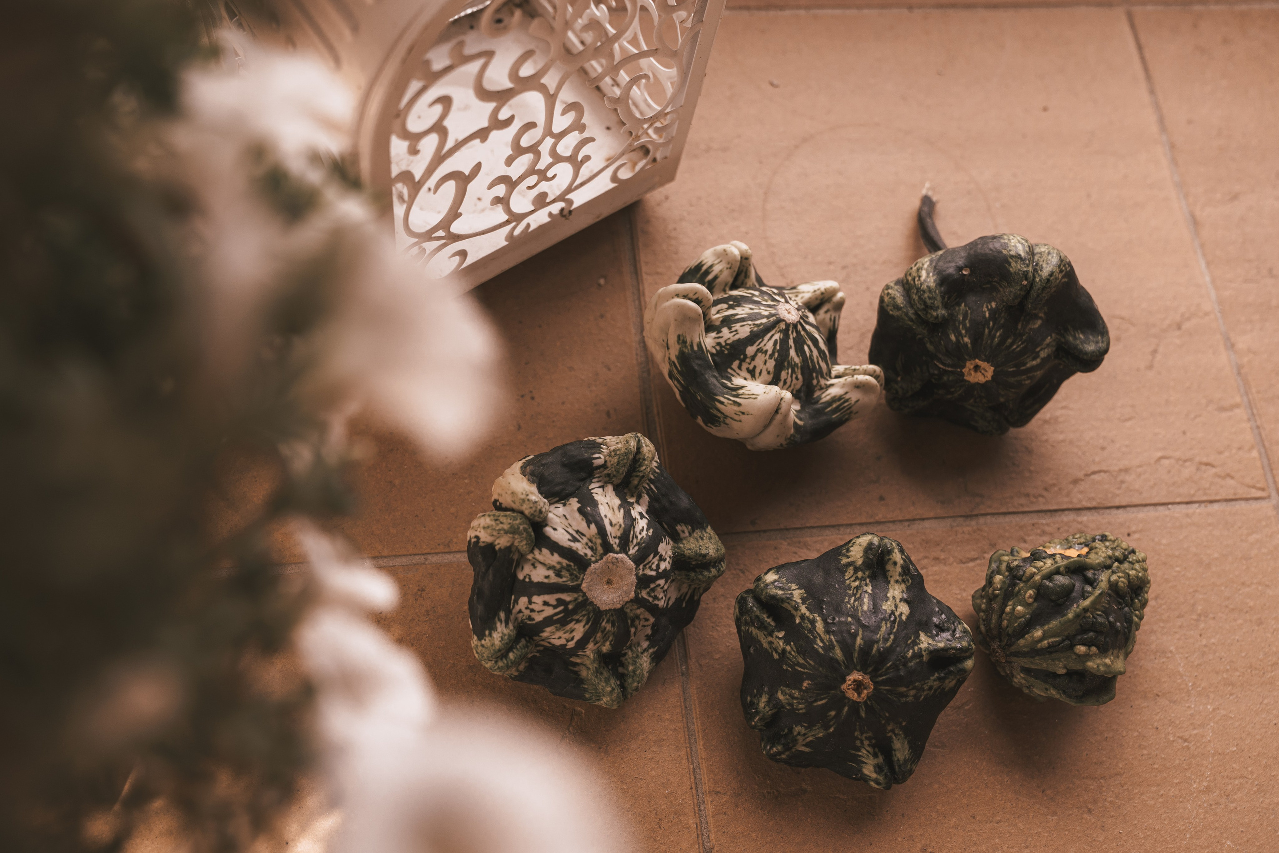 Руслан и Наташа. Свадебный и репортажный фотограф Ростов-на-Дону Алексей Гуль