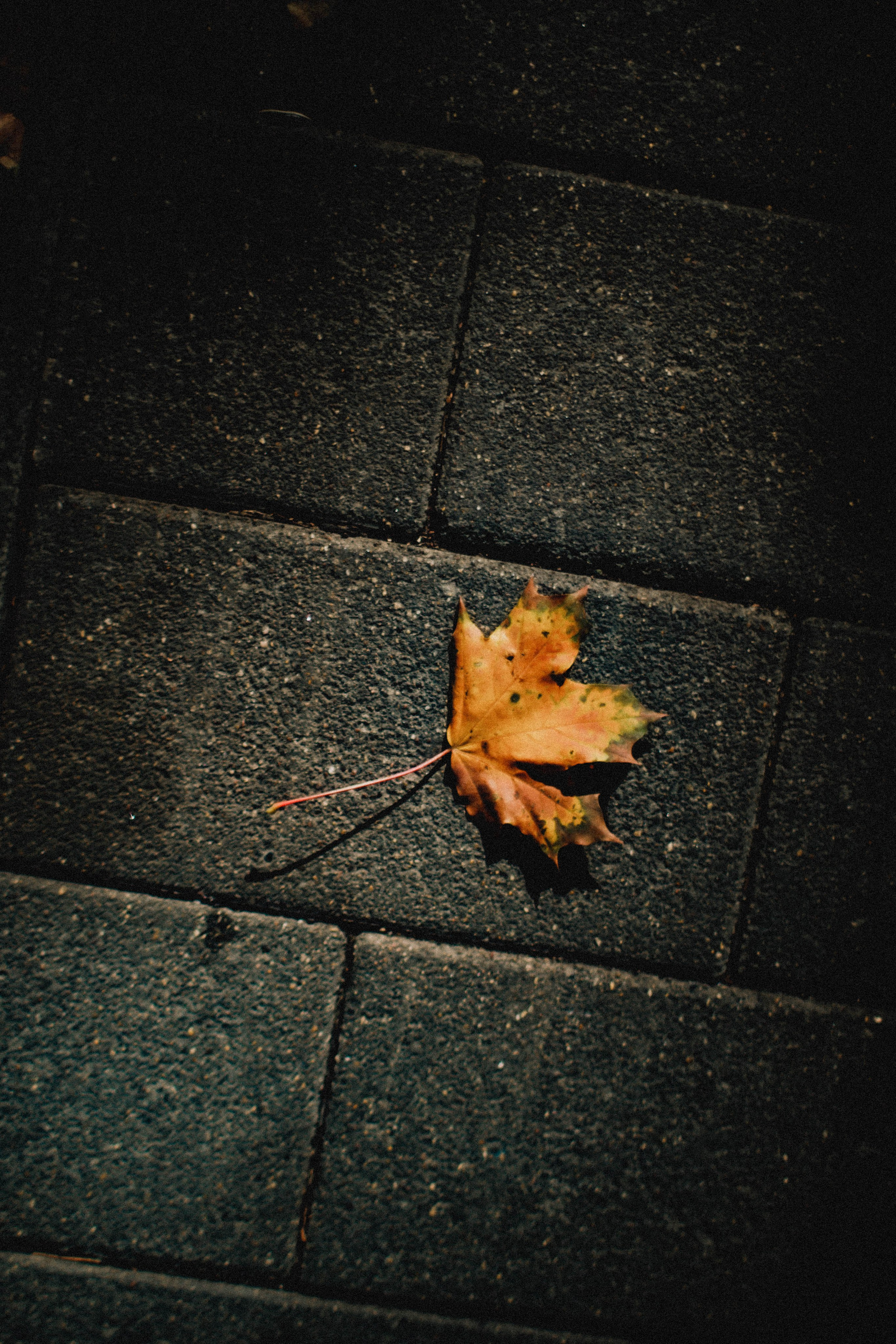 Влада. Холодный переулок. Фотограф в Нижнем Новгороде