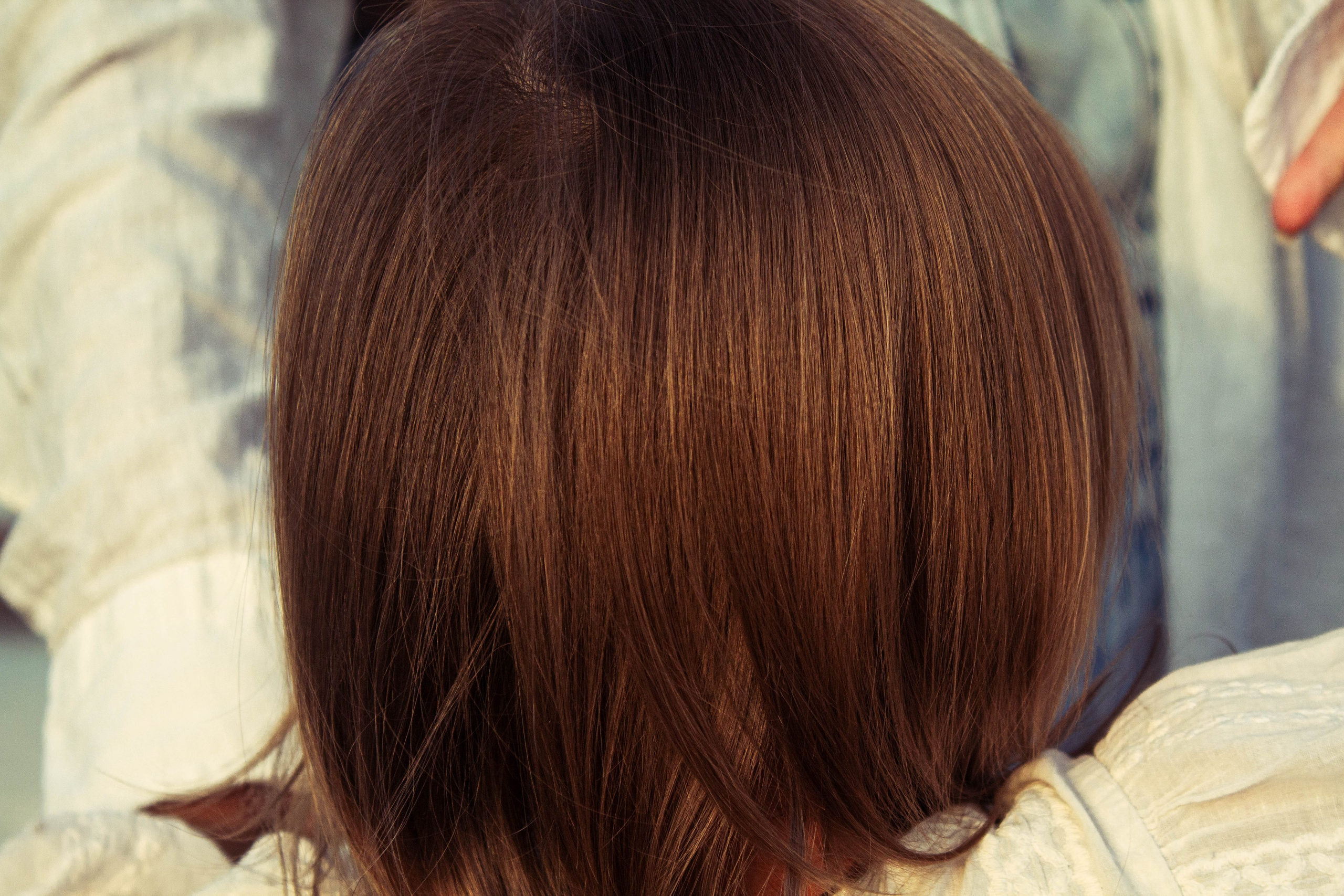 Семья. Карпогоры, Санкт-Петербург