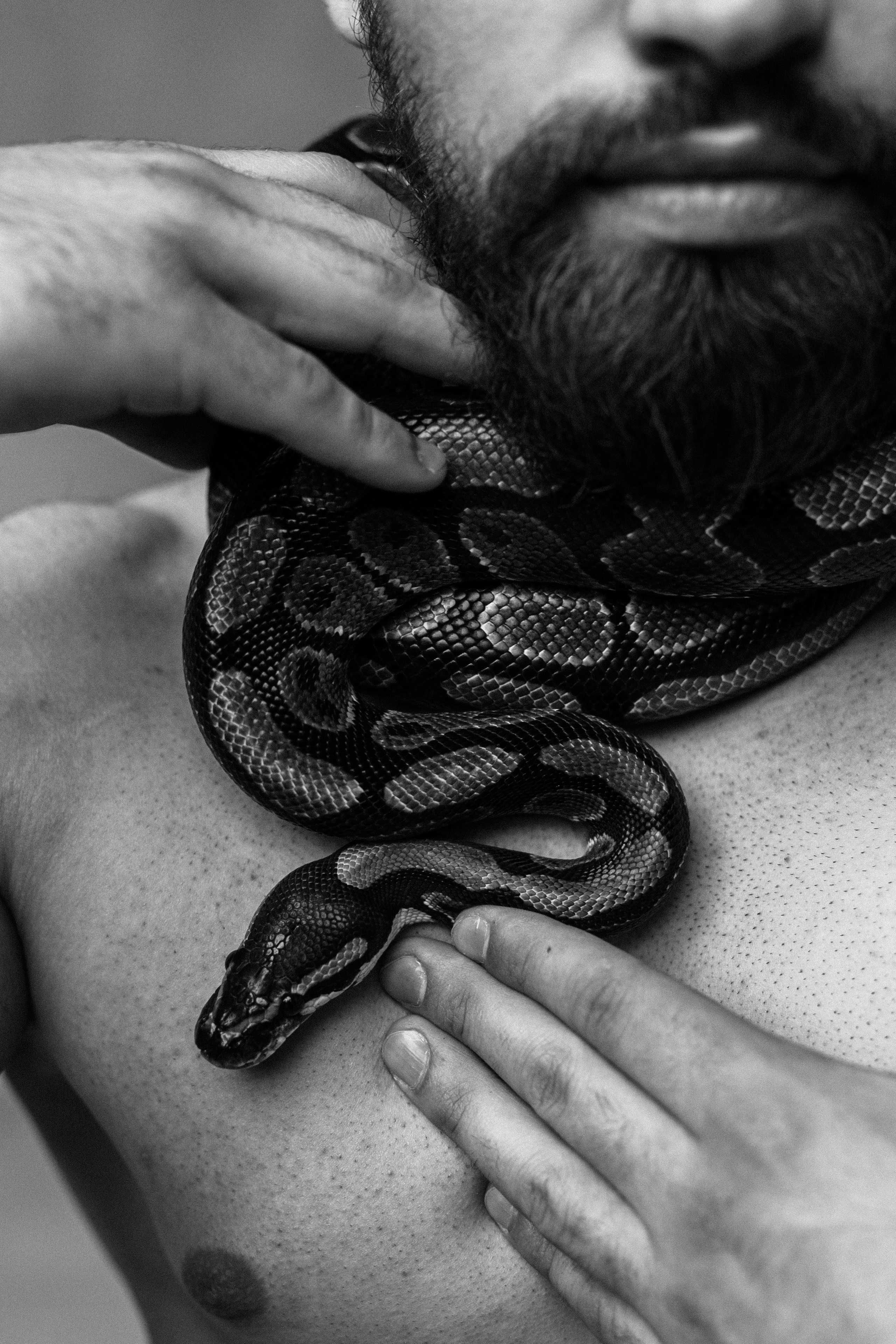 Никита и змея. Индивидуальные и семейные съёмки в Уфа Маргарита Истомина