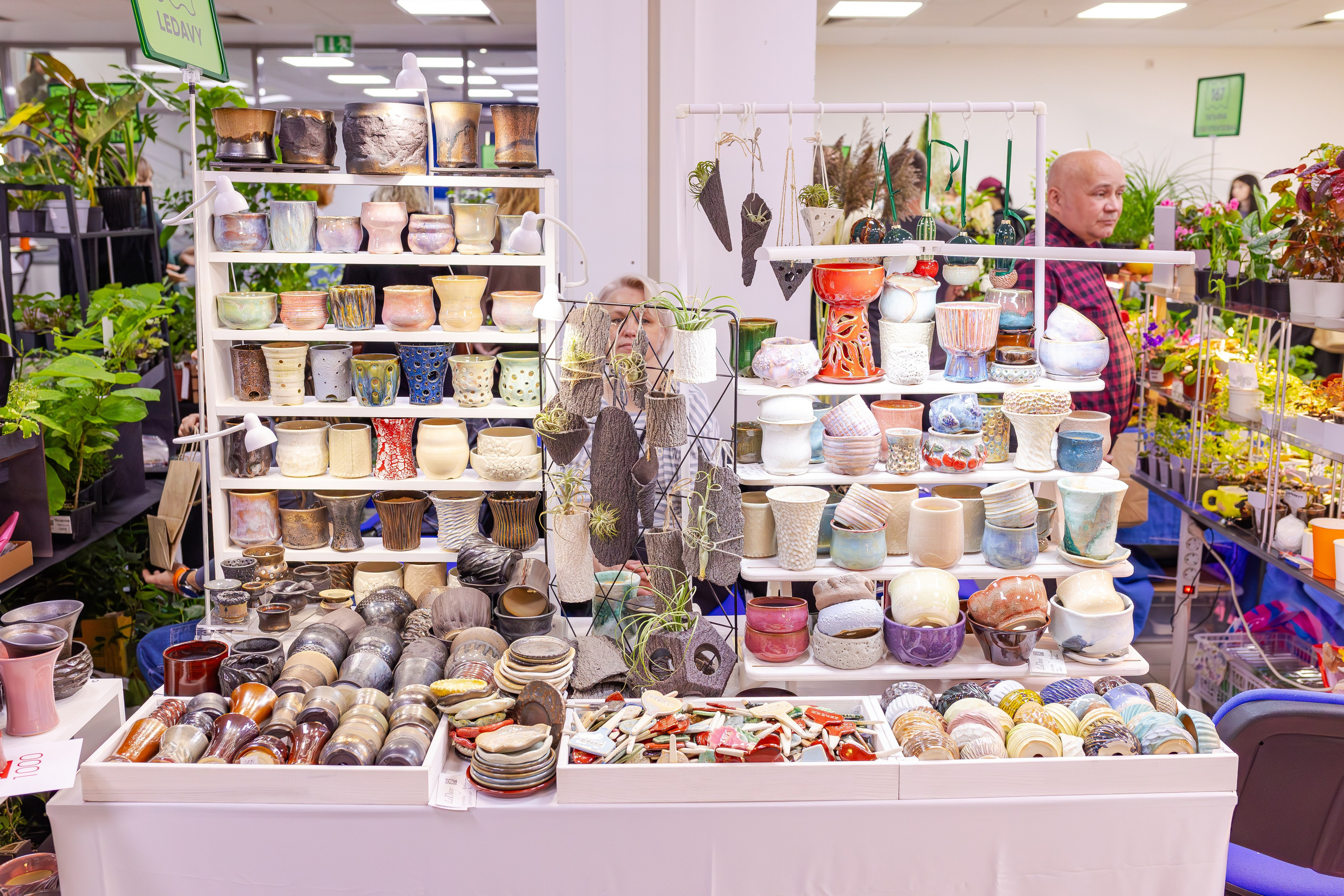 Орхидиум сентябрь 2025. Александра Куликова фотограф, Москва