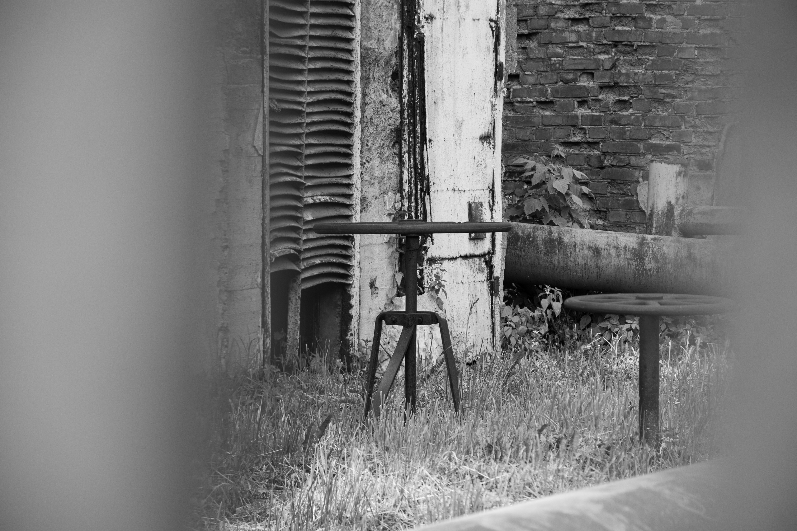 SNYT. An Alternative View of St. Petersburg’s Architecture. 2025. Janie valde |photographer & visual artist