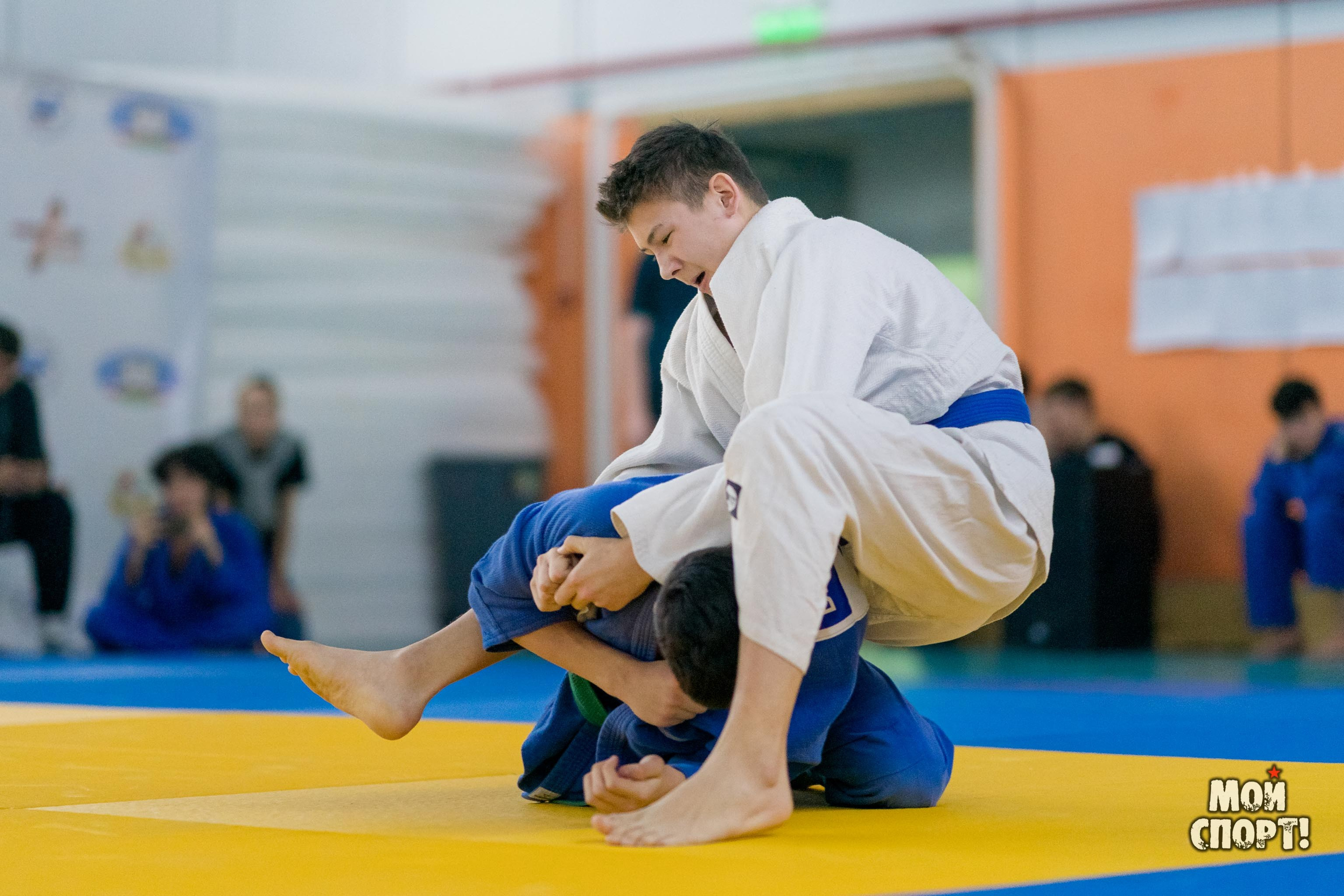 Кубок и первенство РС (Я) по дзюдо. Студия «Мой Спорт!» — все о спорте в Якутии