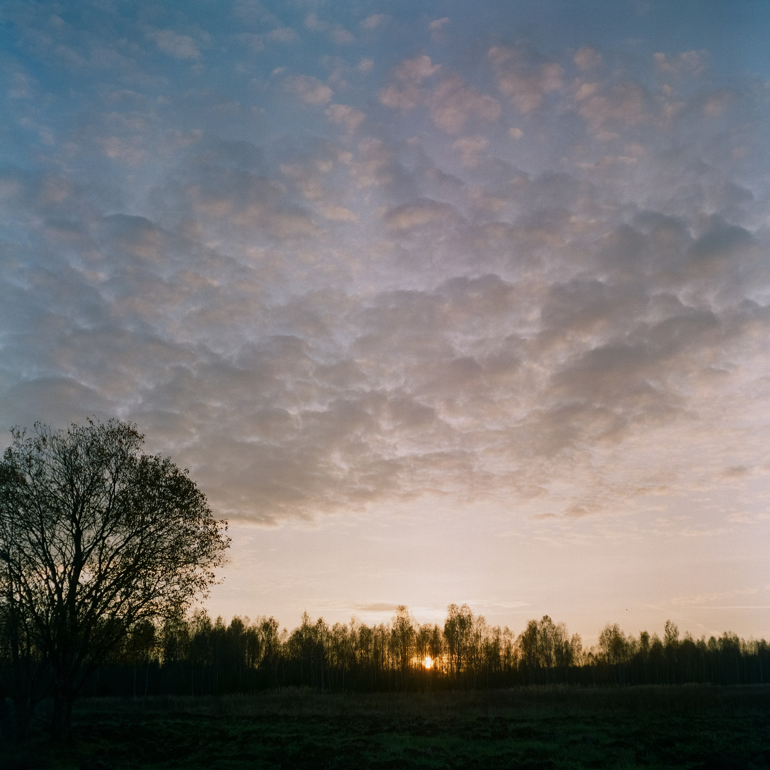 Rolleicord III–Xenar 75 mm f3.5 V / Fujicolor PRO 400H