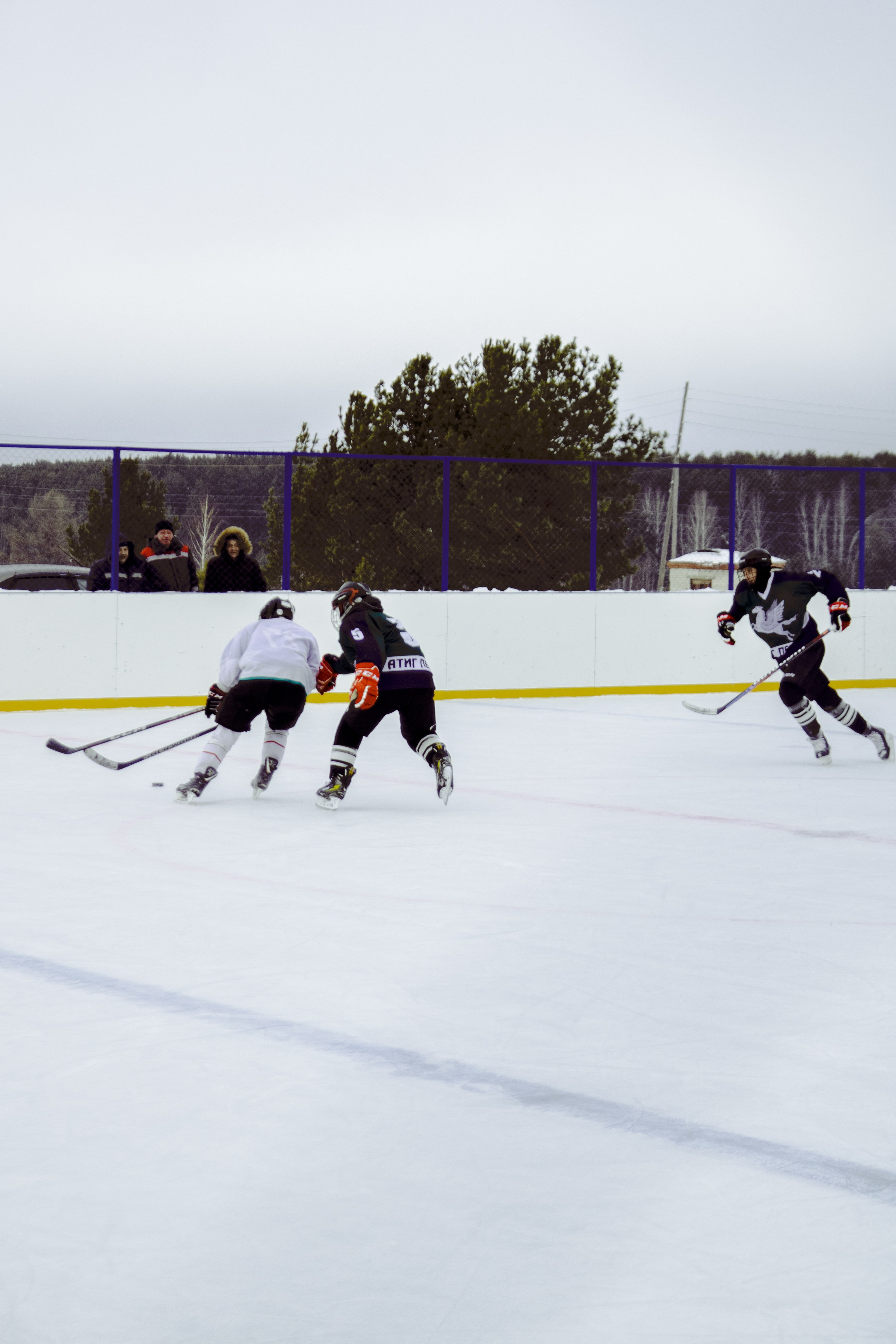 Хоккей 29.12.2024