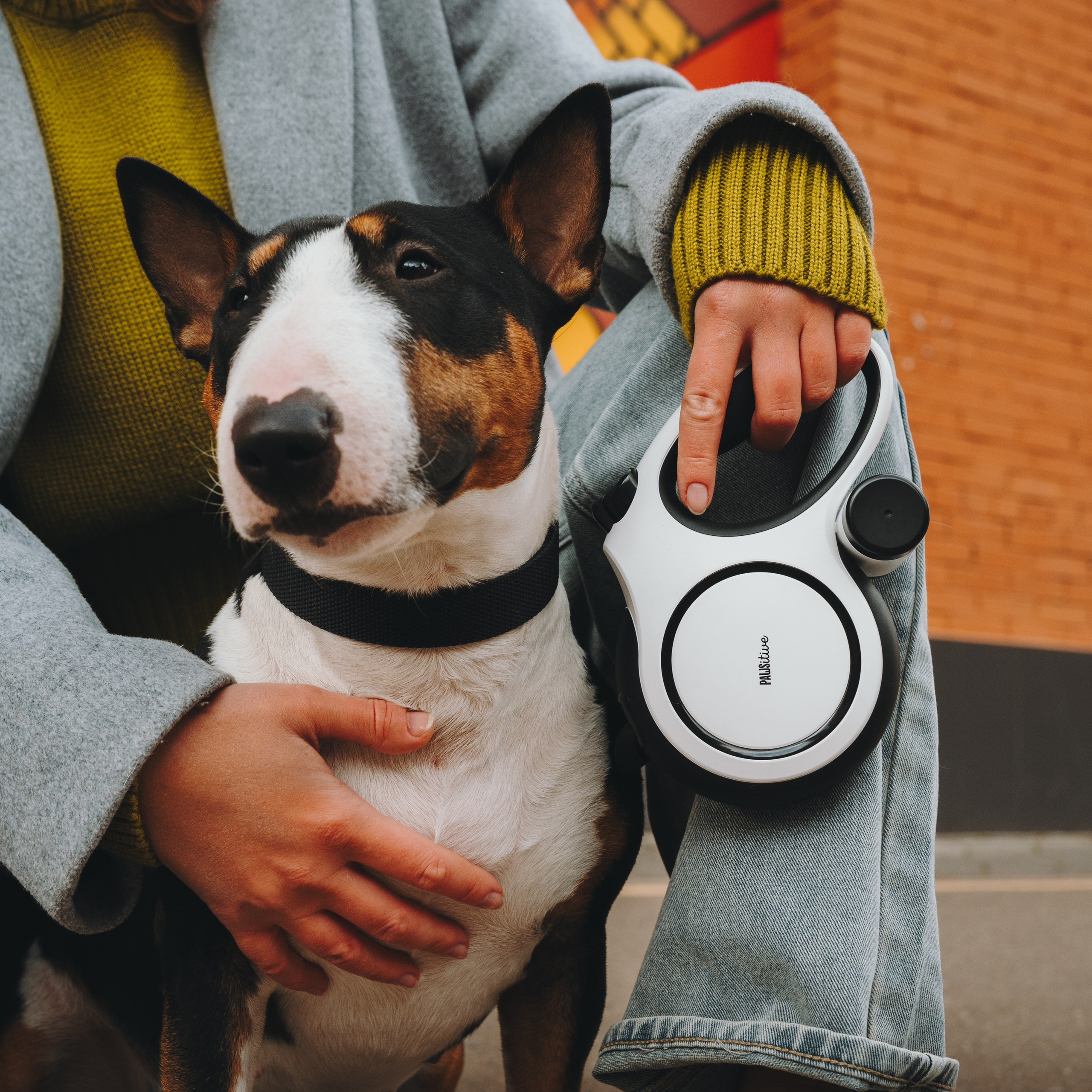 Pawsitive. Семейный фотограф анималист Ананьева Мария — Москва