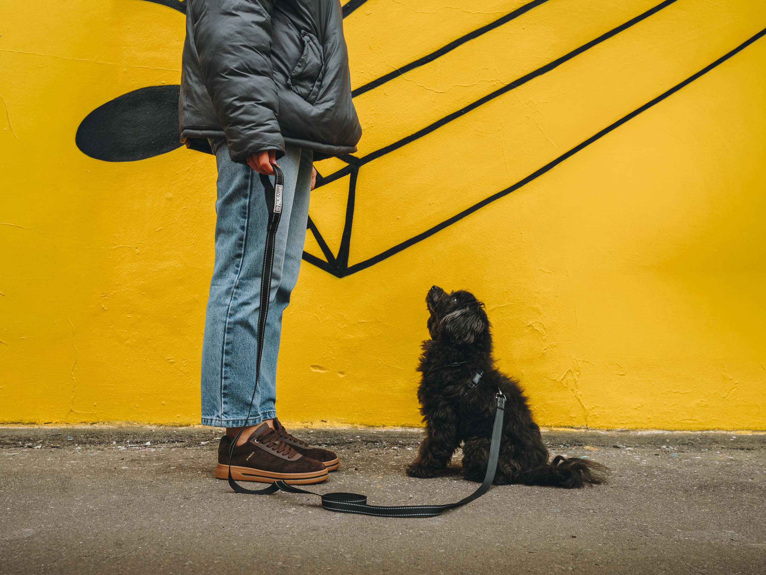 Pawsitive. Семейный фотограф анималист Ананьева Мария — Москва