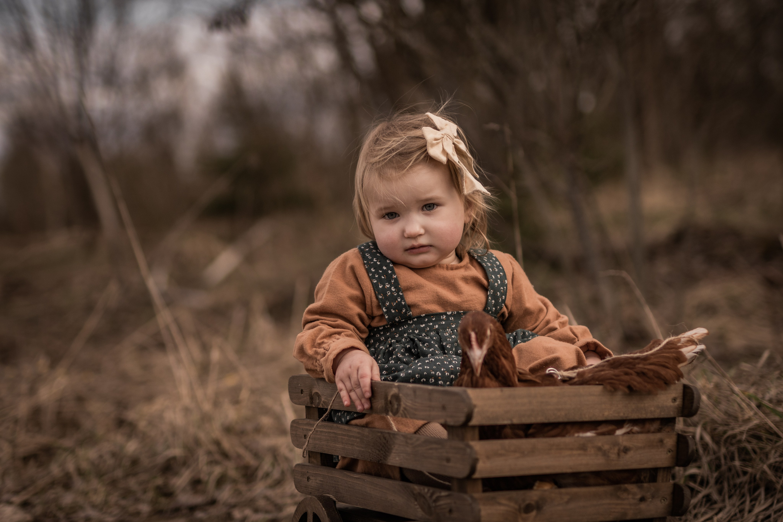 Куриная история. Семейный фотограф Ефремова Виктория