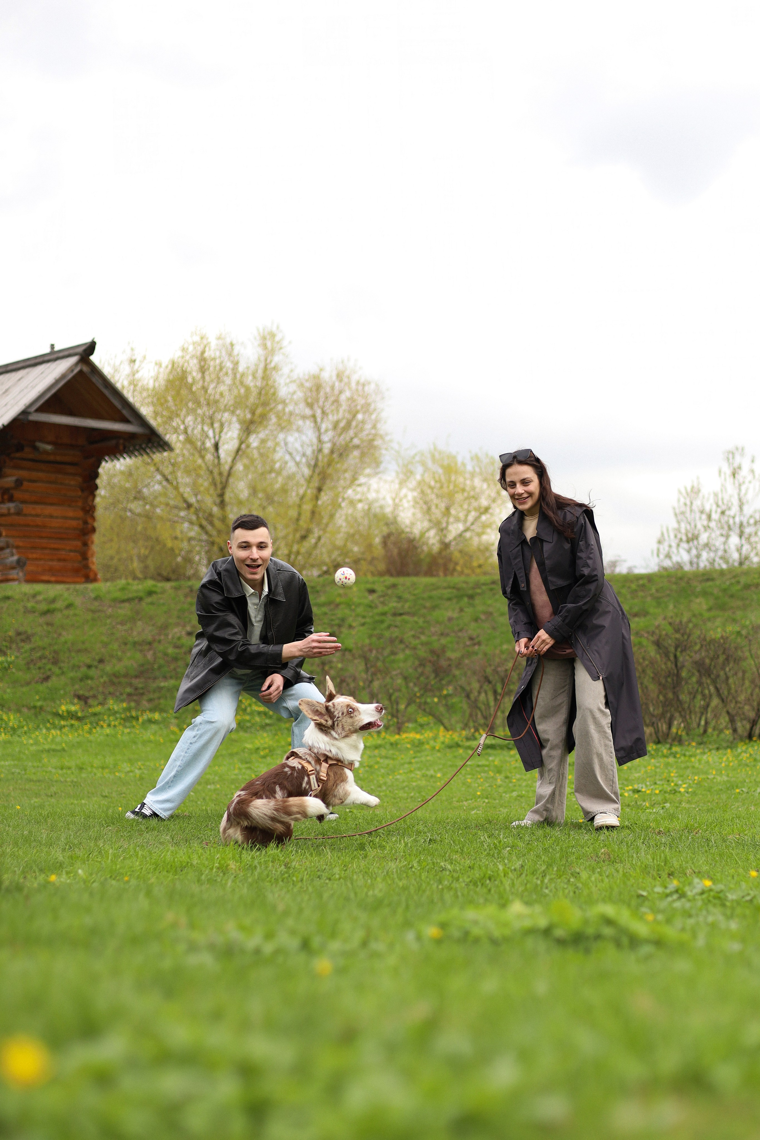 Анджей, Софья и Андрей. Фотограф-анималист Ксения Шевцова|Москва