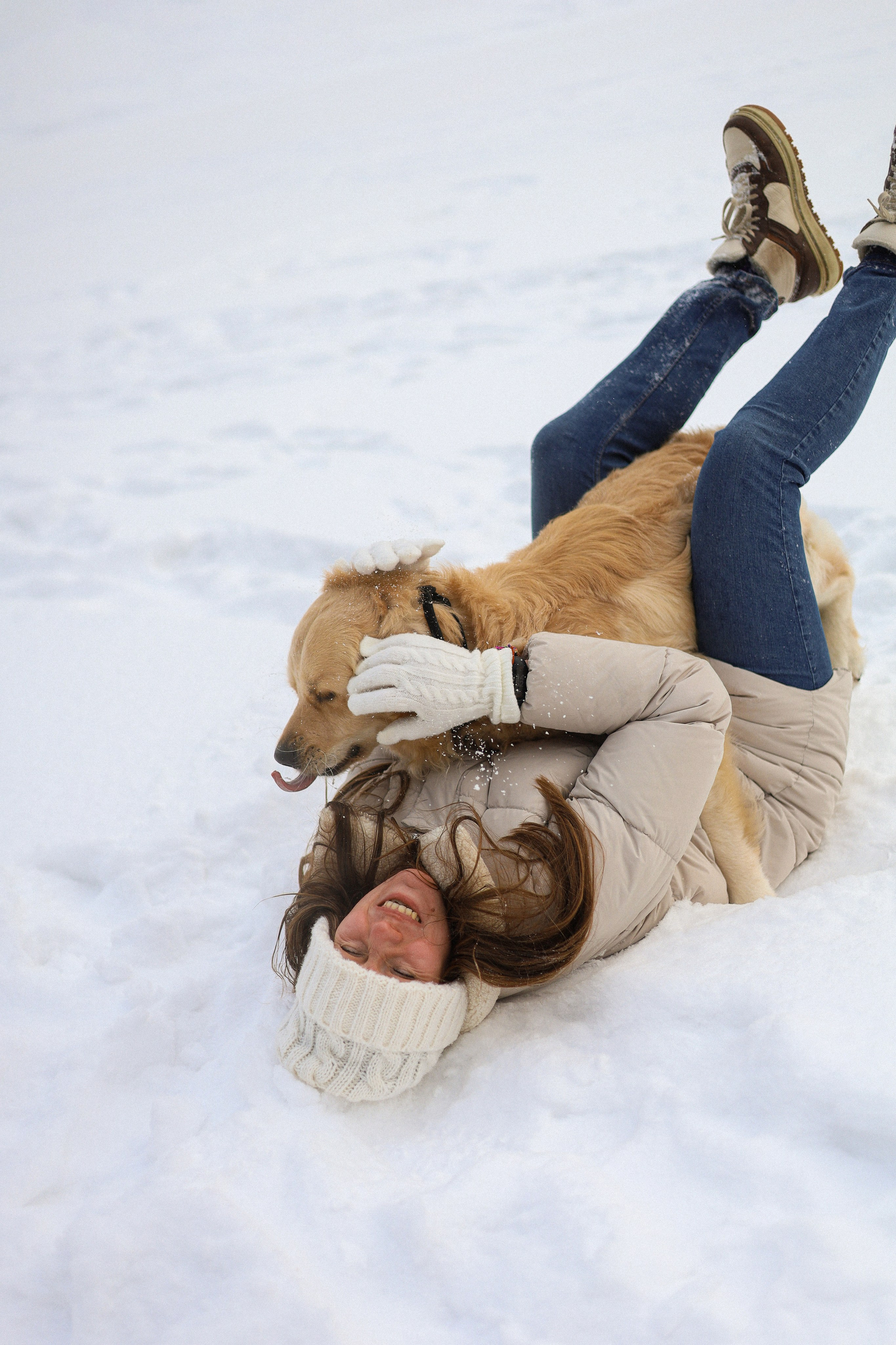 Стивен, Лена и Миша. Фотограф-анималист Ксения Шевцова|Москва