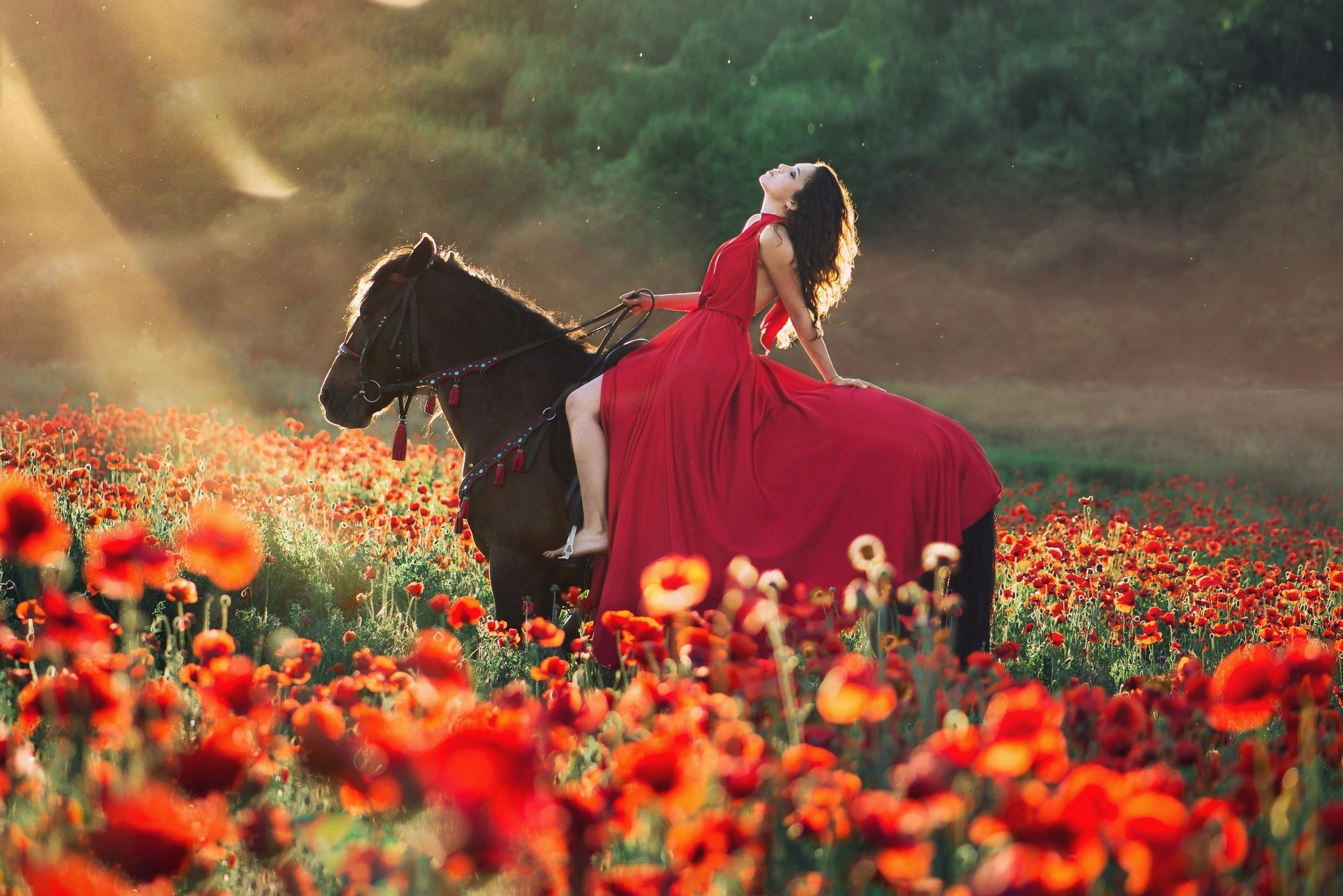 Конные фотосессии. Фотограф Крым Мария Зацаринная