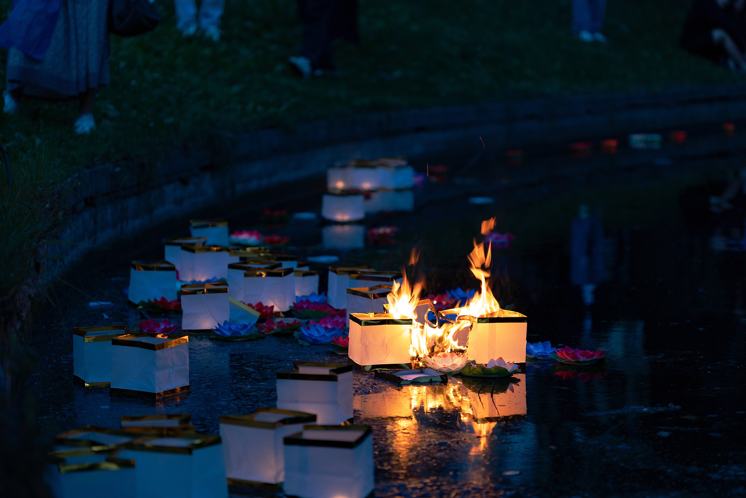 Dream Fest | Санкт-Петербург, 2025. Репортажный фотограф