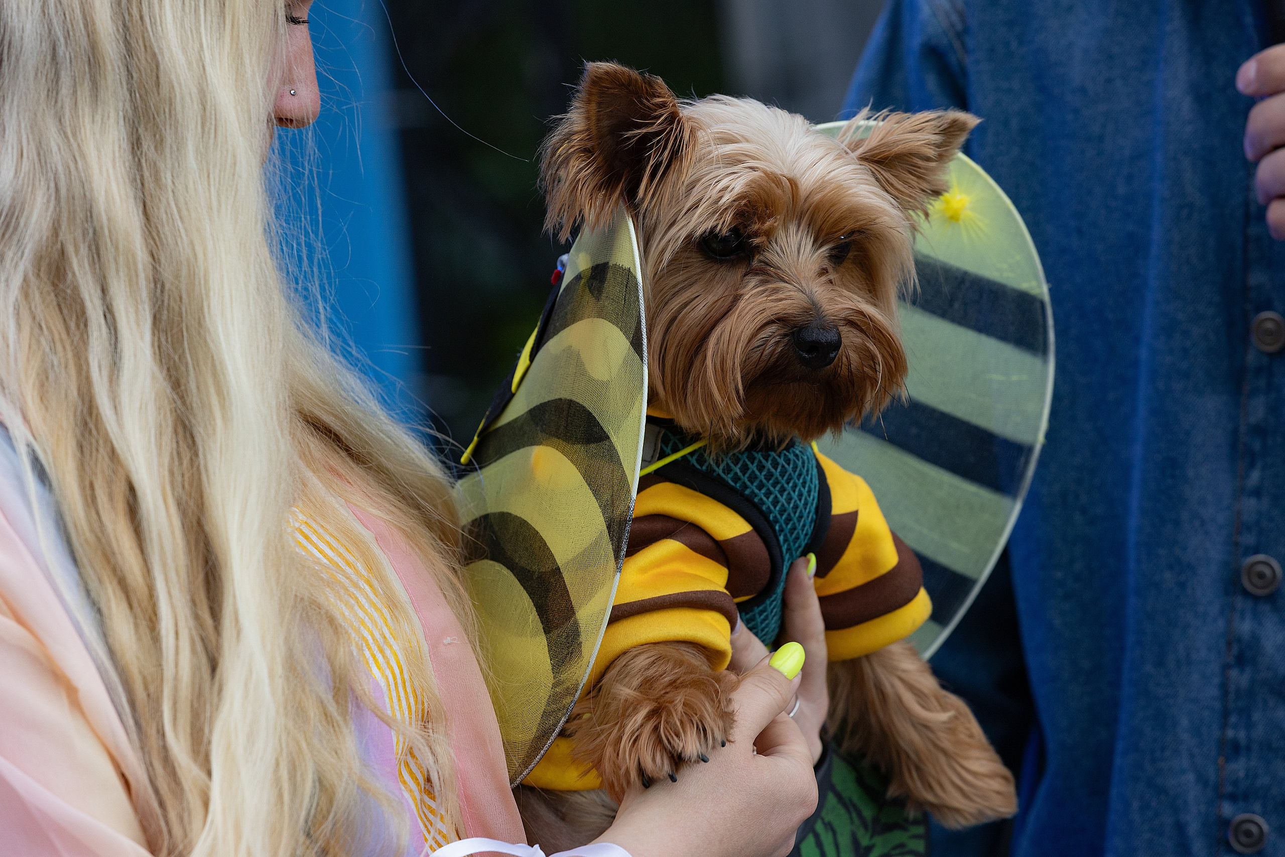 Petshop Days 2026. Репортажный фотограф