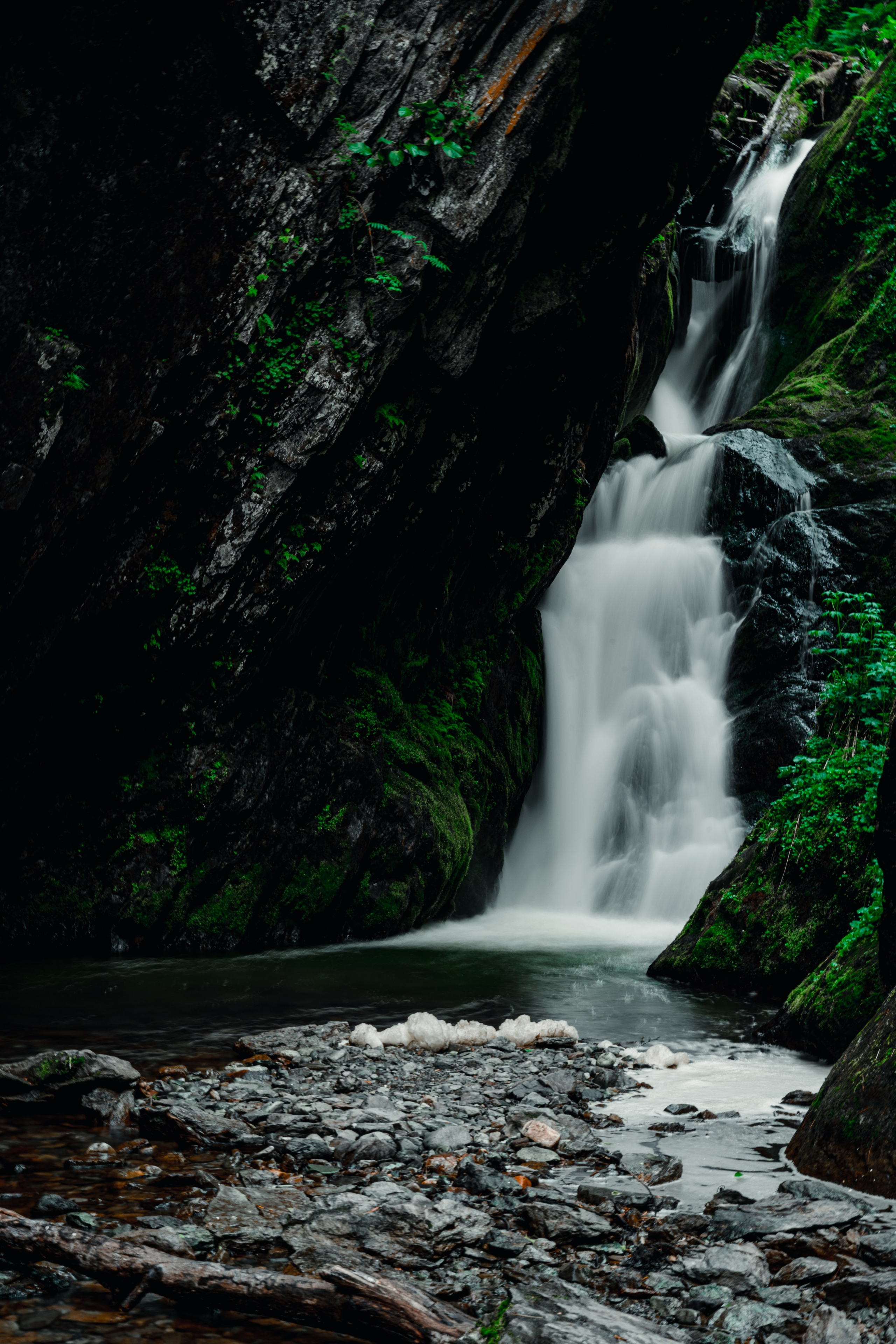 Фото. Оператор и Фотограф в Санкт-Петербурге и Москве