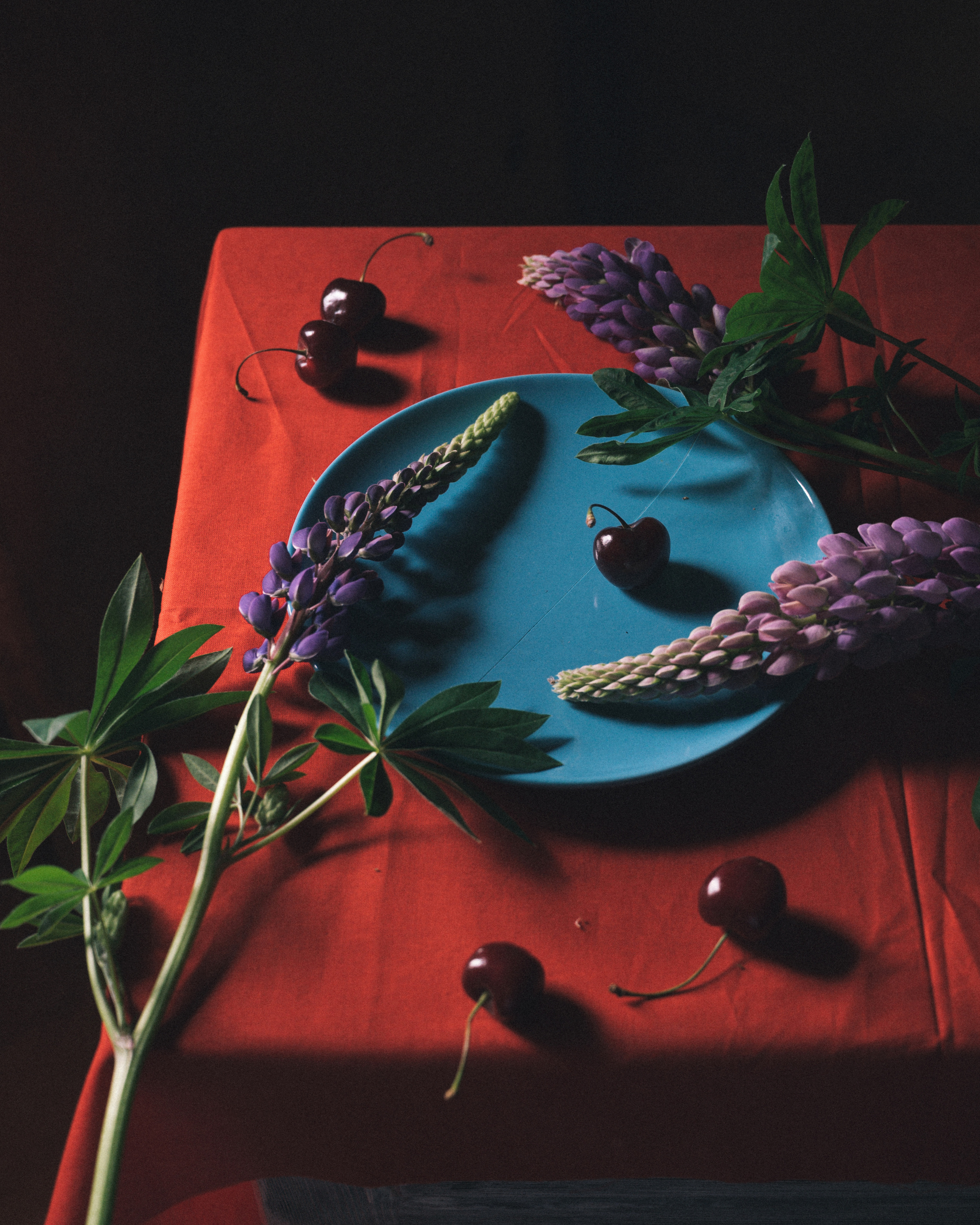 Балуюсь с цветами). Фотограф Елена Хазина, Рязань