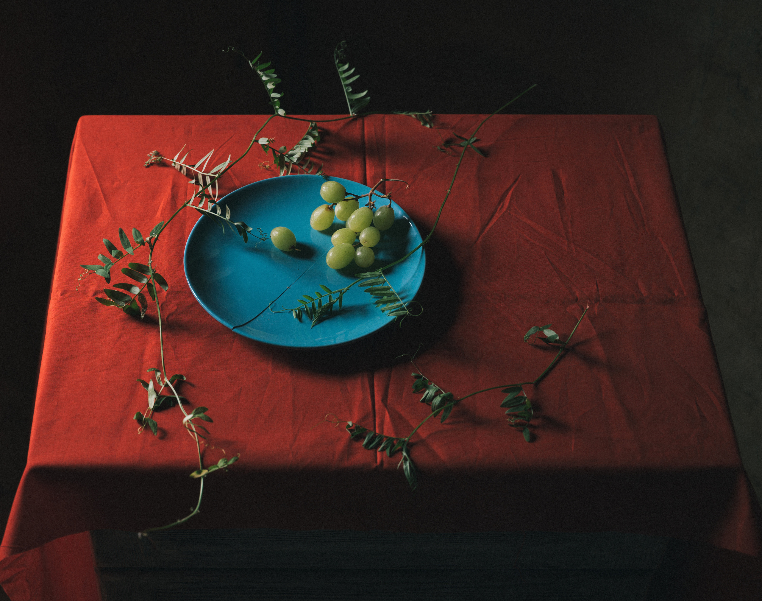 Балуюсь с цветами). Фотограф Елена Хазина, Рязань