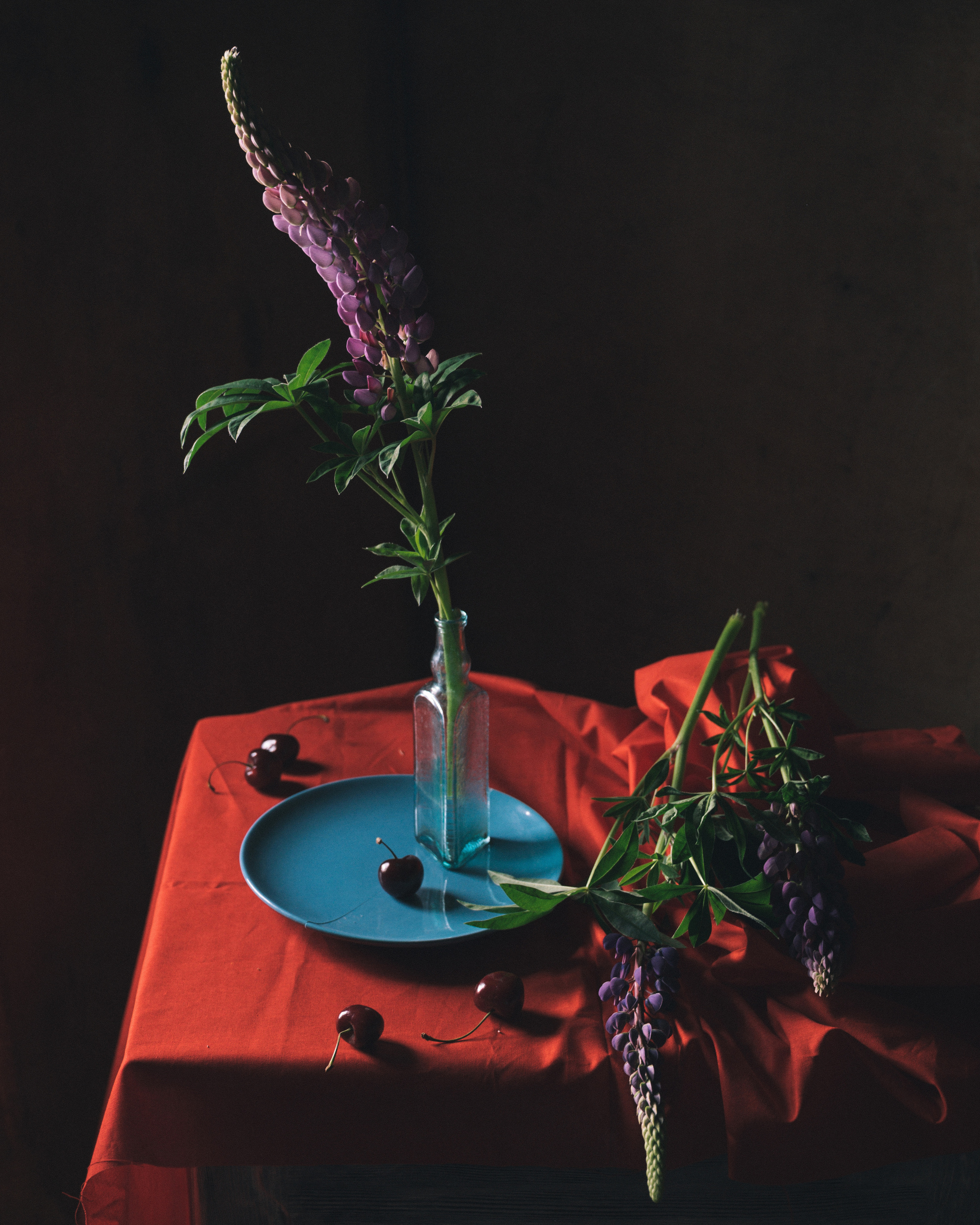 Балуюсь с цветами). Фотограф Елена Хазина, Рязань