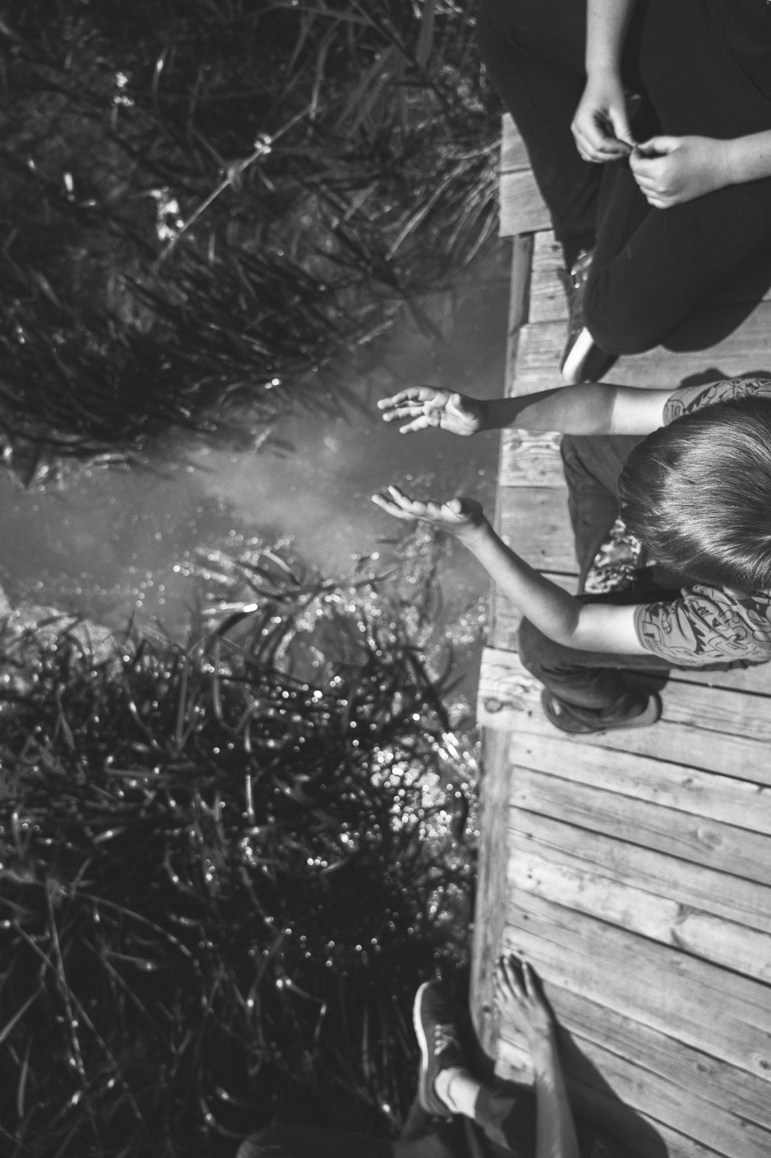 Мостик в детство. Фотограф Елена Хазина, Рязань