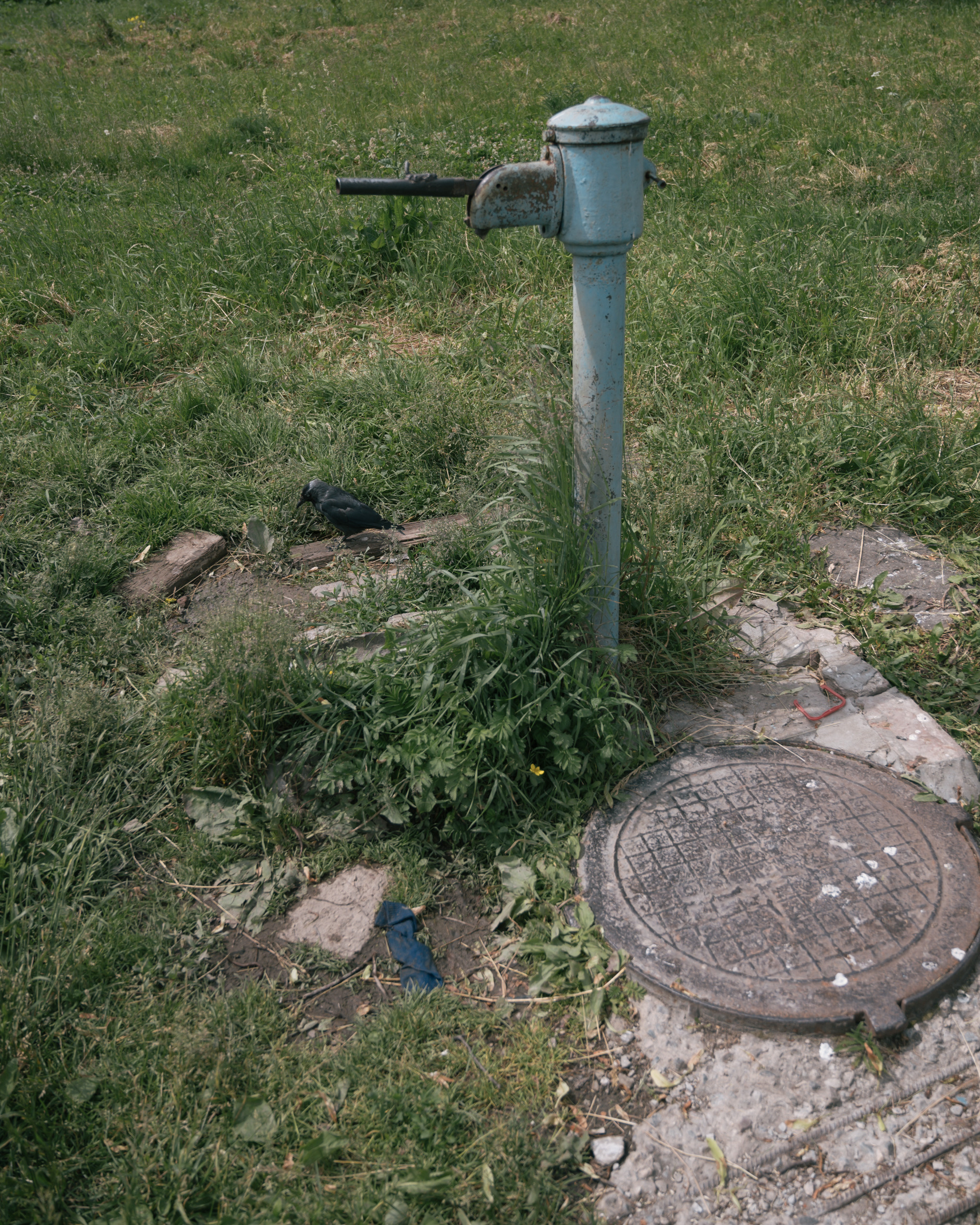 Суздаль. Фотограф Елена Хазина, Рязань