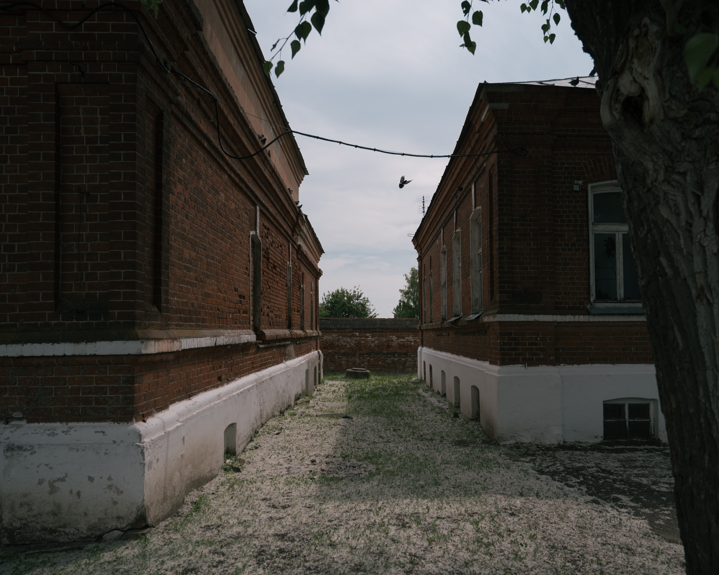 Суздаль. Фотограф Елена Хазина, Рязань