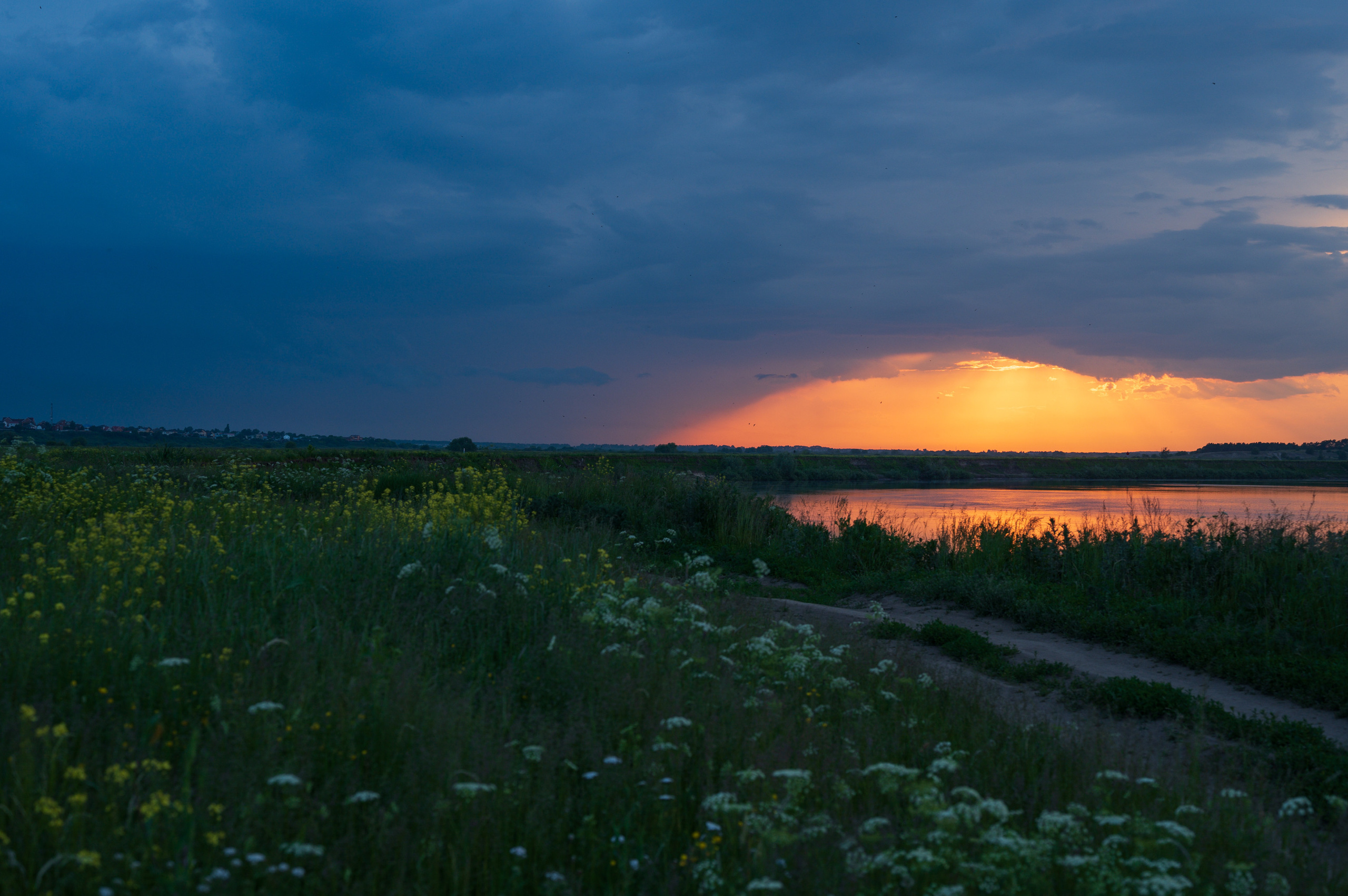 Луга. Фотограф Елена Хазина, Рязань