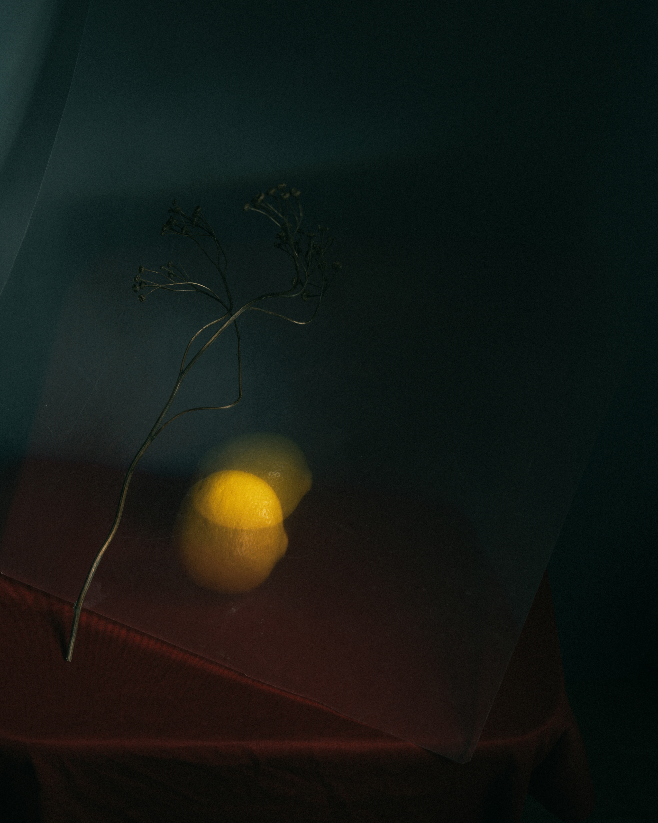 Диплопия. Фотограф Елена Хазина, Рязань