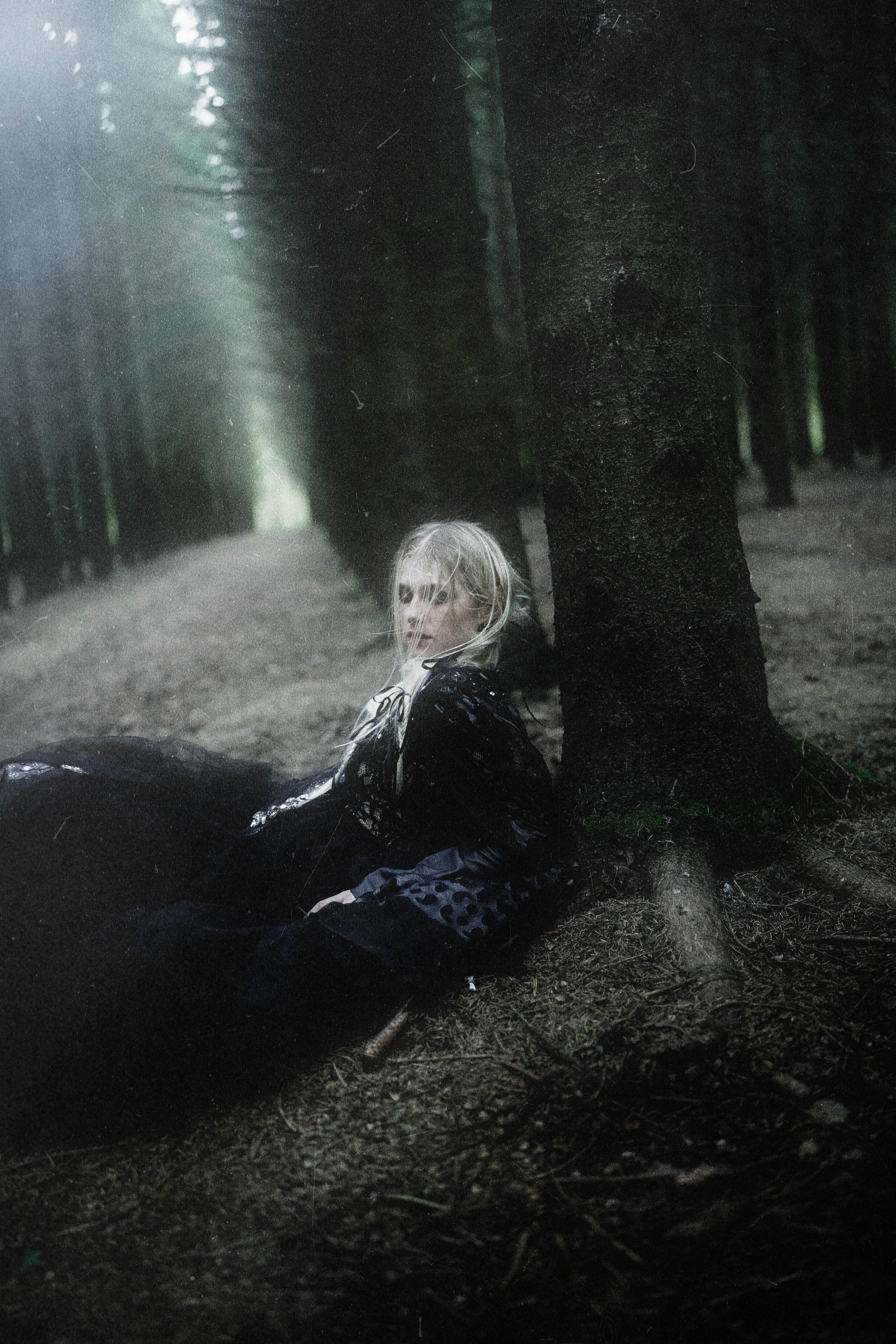 DARK FOREST. Фотограф Julia Nova