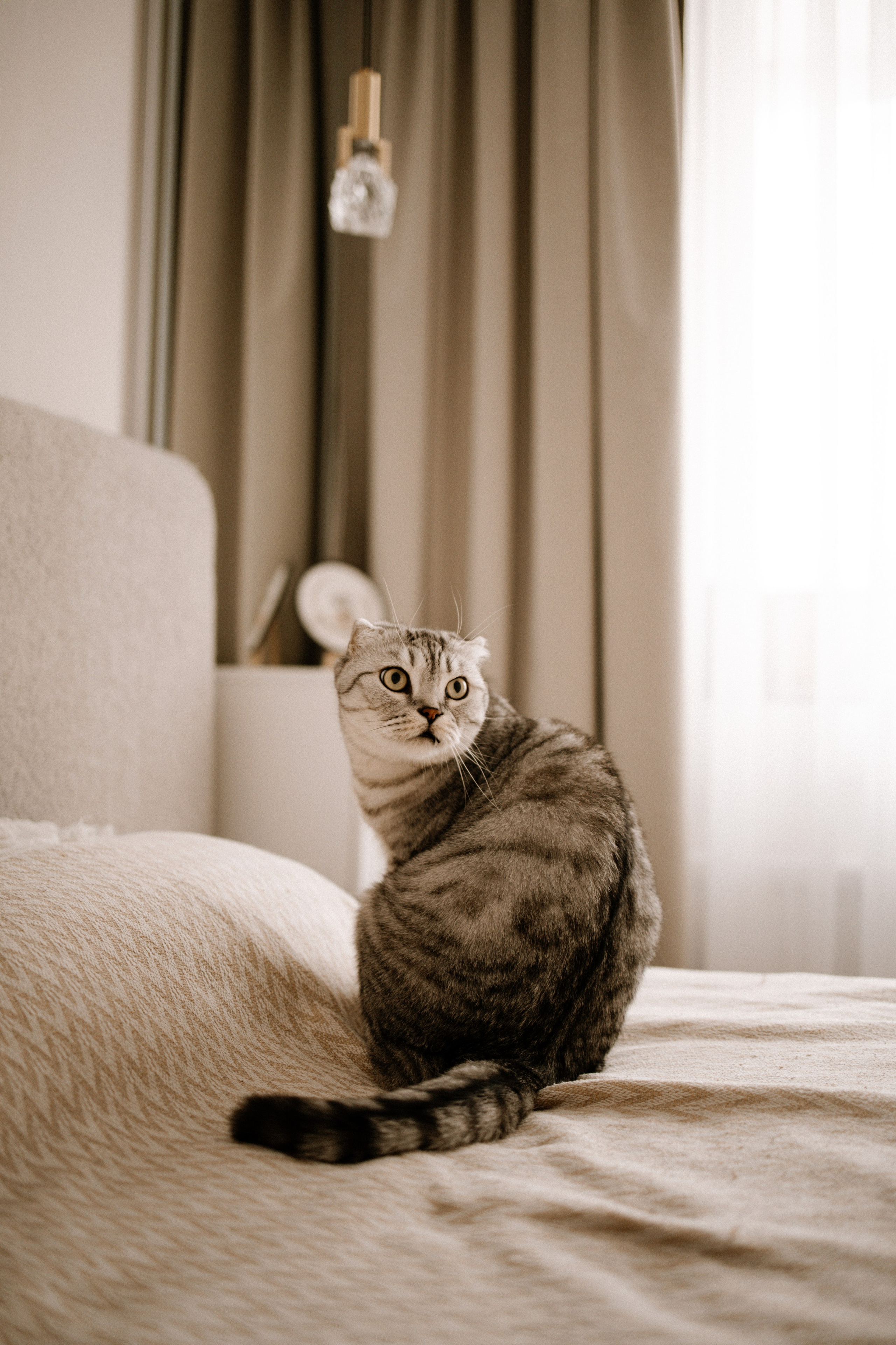 Питомцы. Семейный фотограф | Керчь | Ивановская Виктория