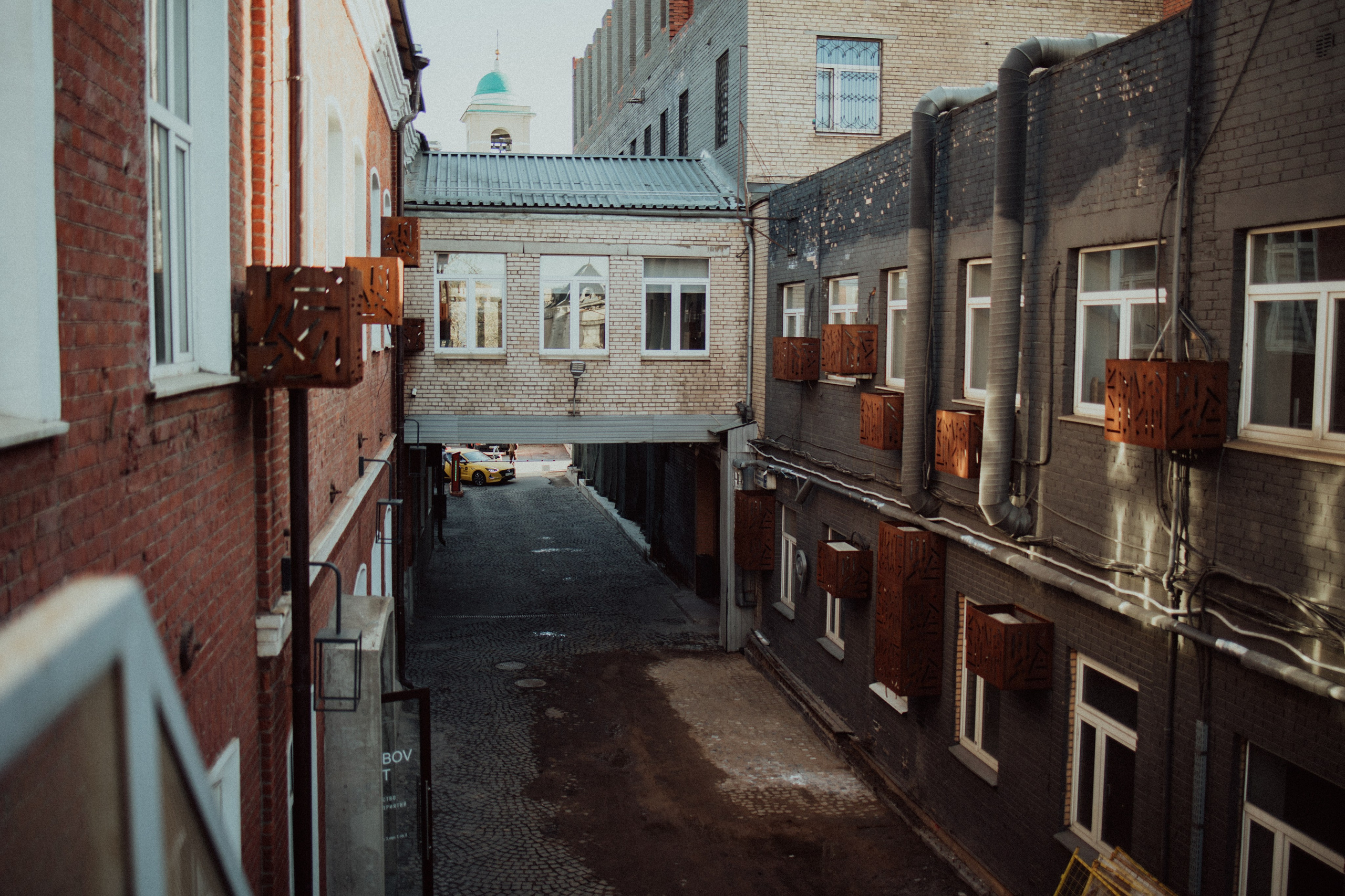 CBcon. Фотограф анималист в Москве Майорова Евгения