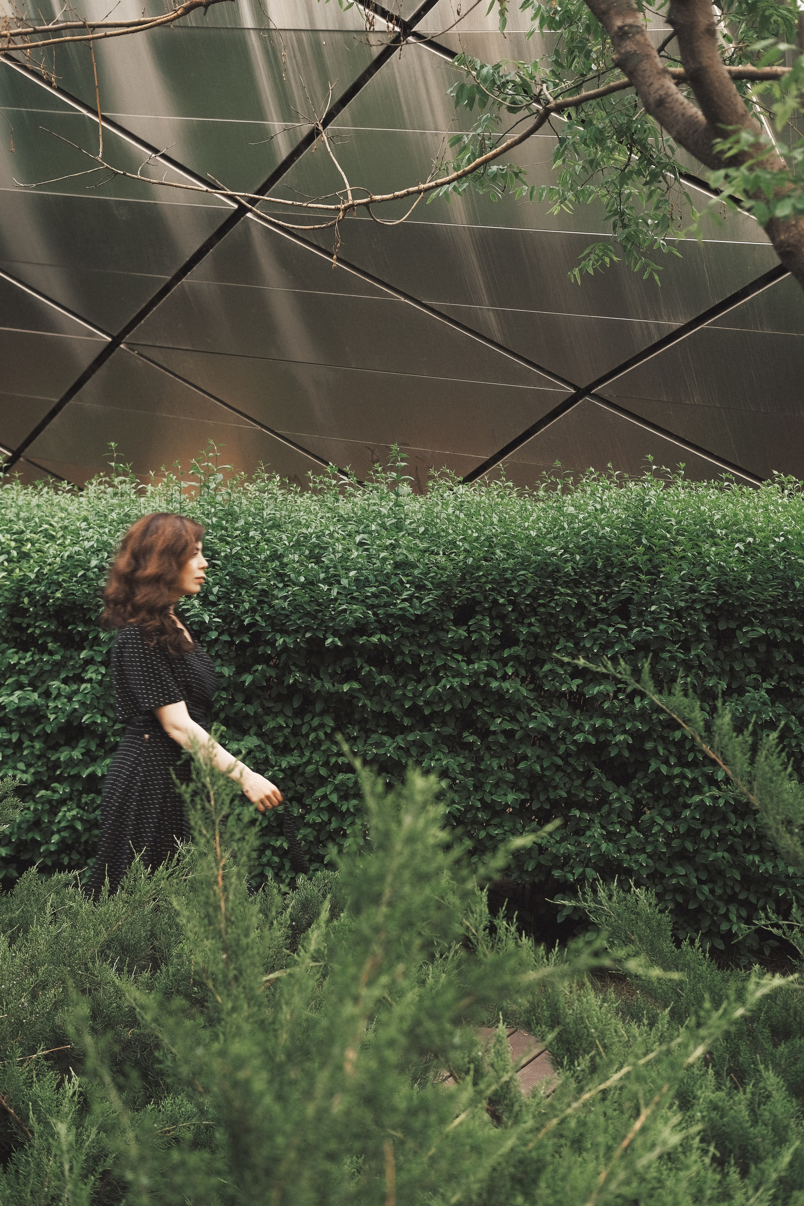 Souvenir from Georgia. Photographer Tbilisi