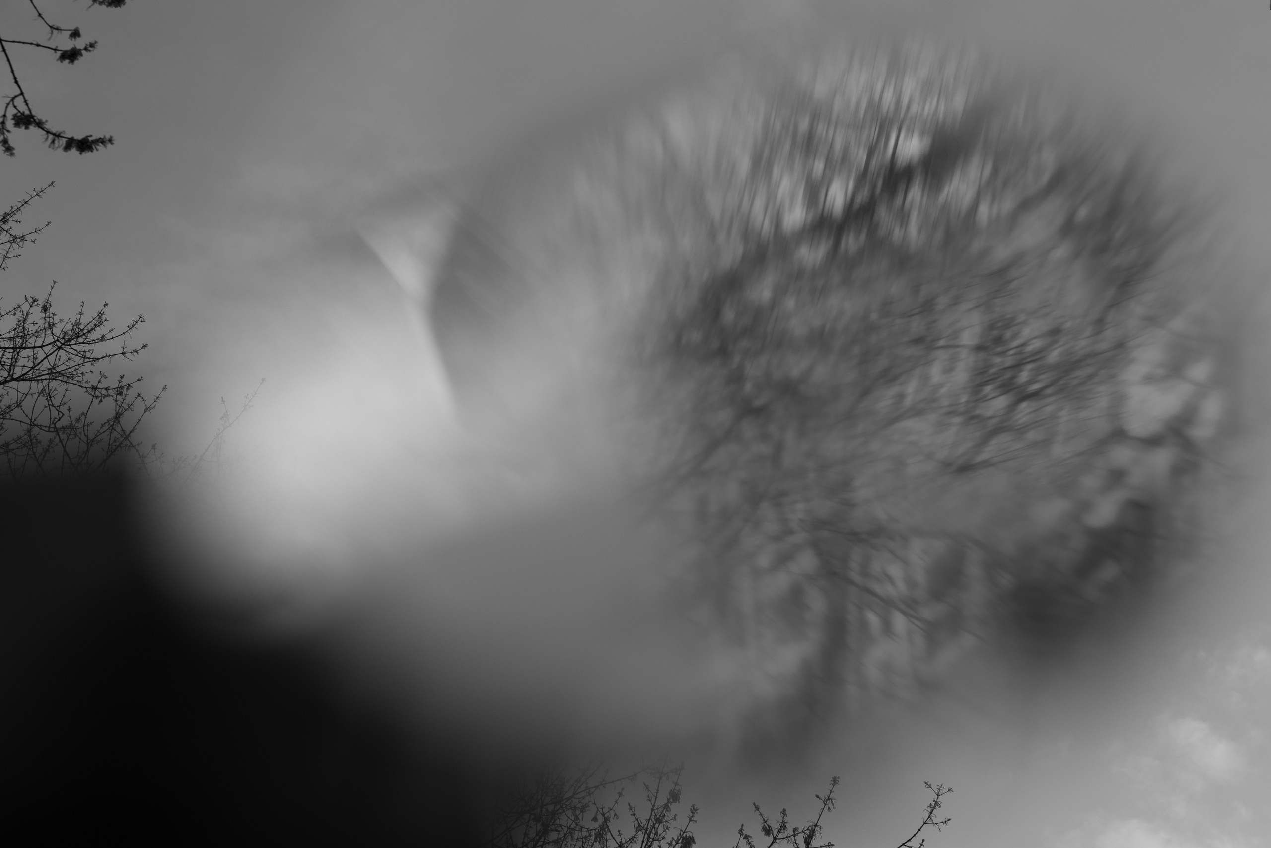 Art prints. Фотограф алина стерхова, алина стерхова фотограф, фотограф москва