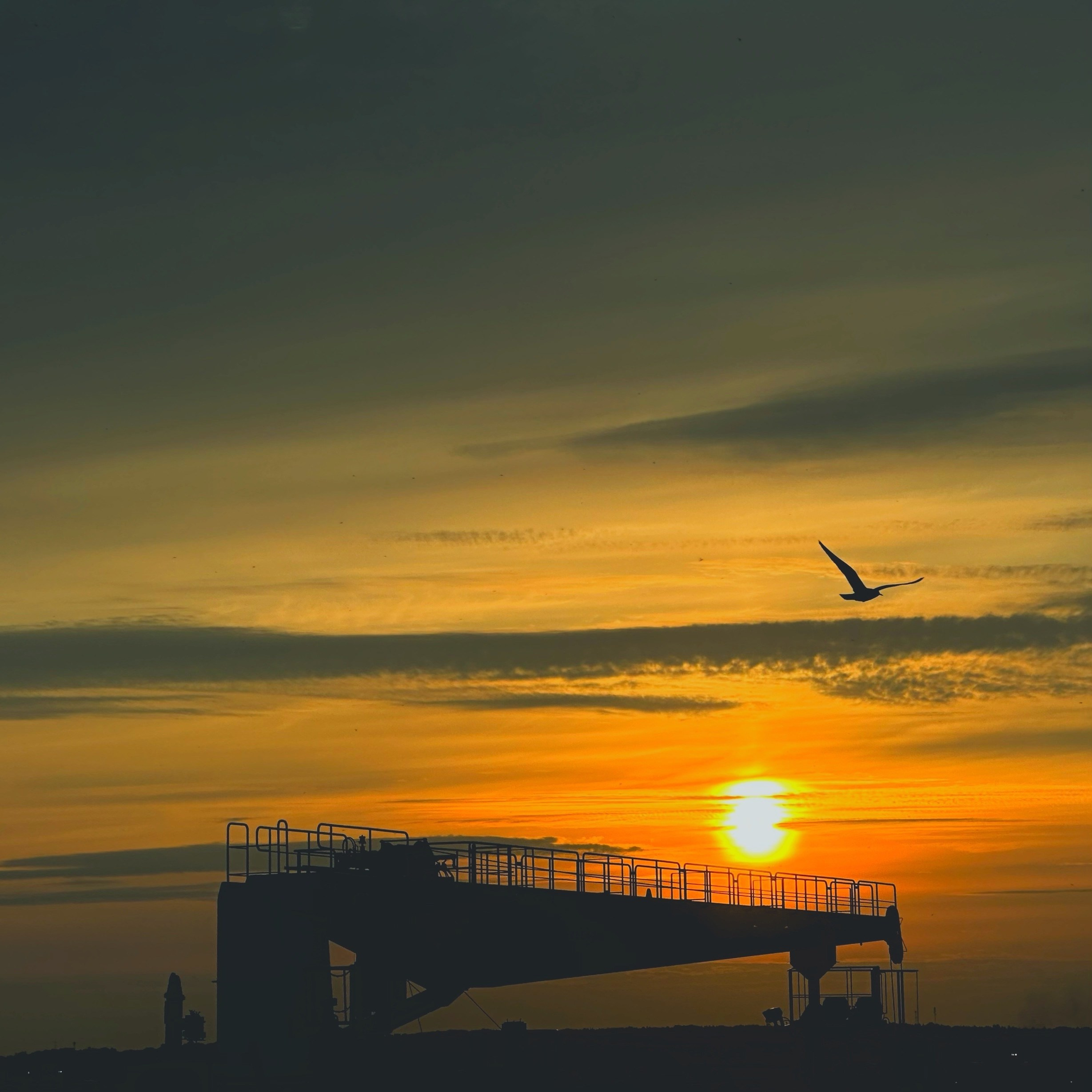 СПБ МАРИН СТРИТ ФОТОГРАФИ. СПБНЛО