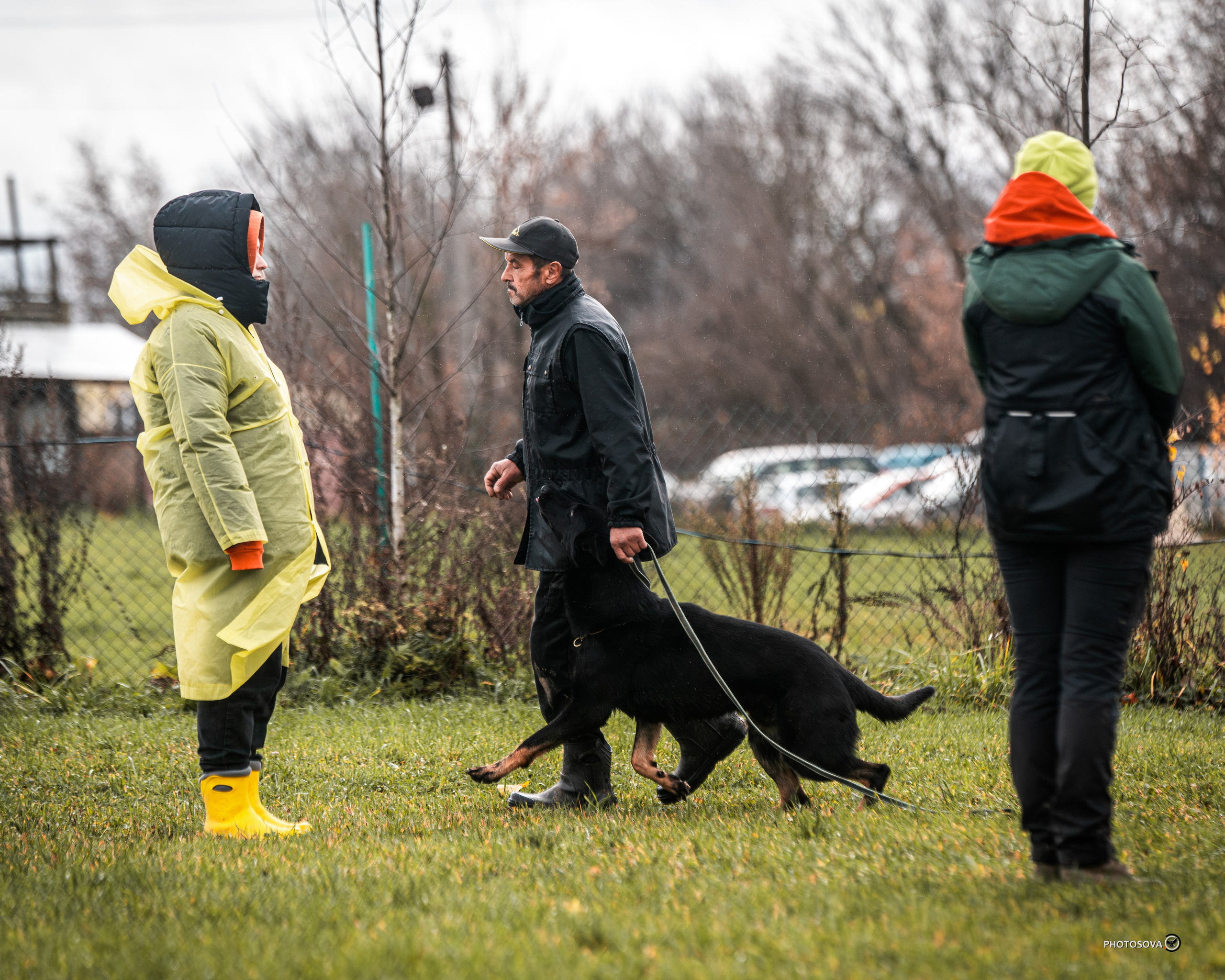 МЫ — КОМАНДА (соревнования) OKD, BH, IBGH, IGP. Фотограф-анималист, семейный фотограф в Москве и Подмосковье. Фотосъёмка кинологических дисциплин