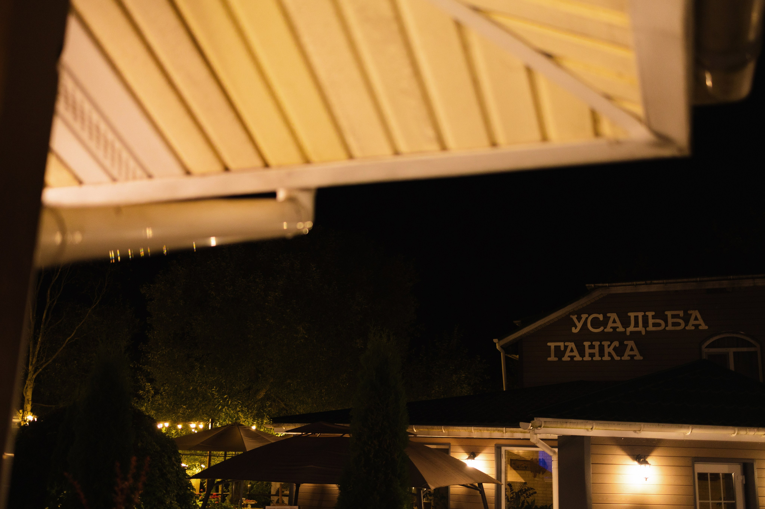 P&V. Свадебный фотограф Лиза Макатович Беларусь Минск