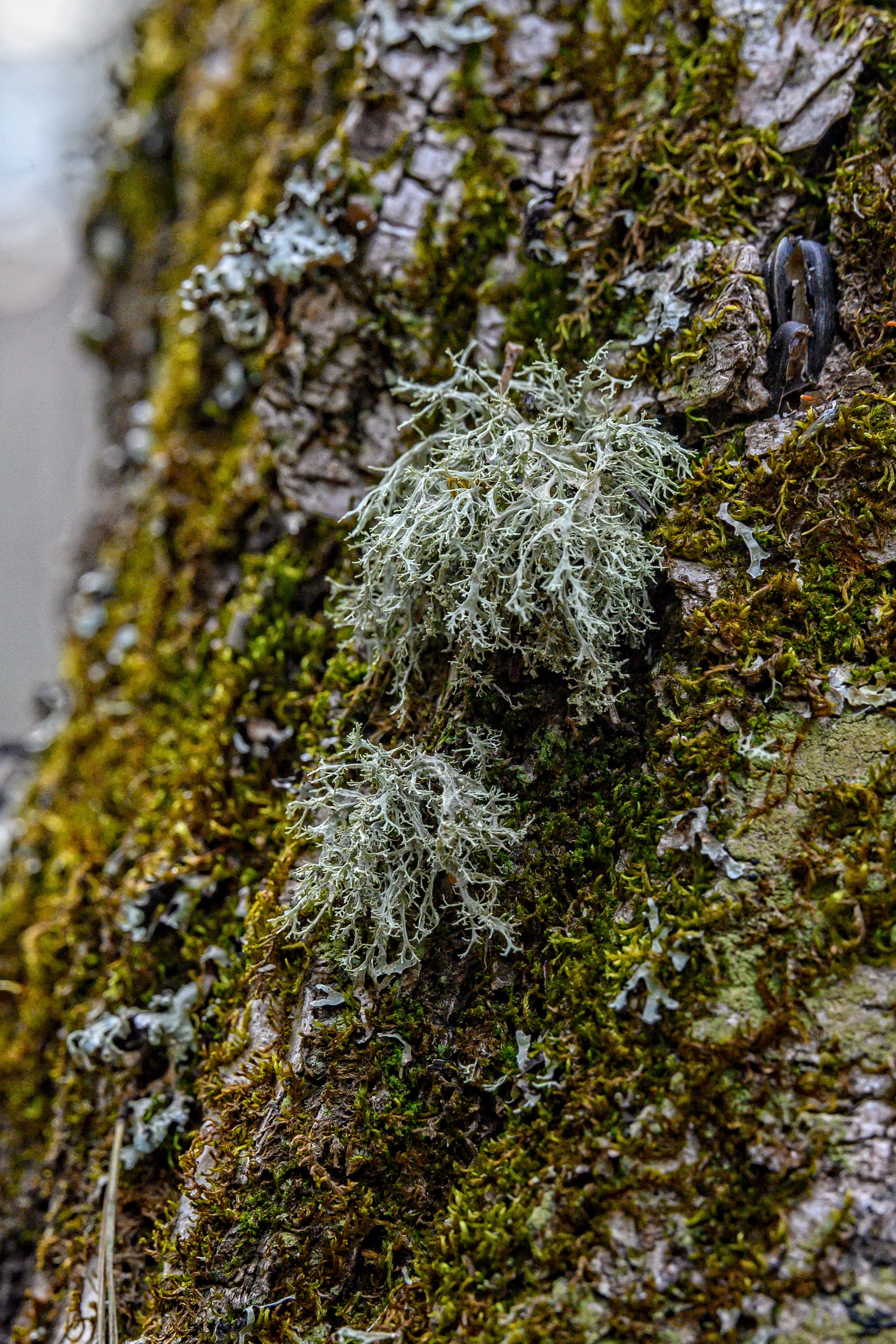 Осень. FotoGraf