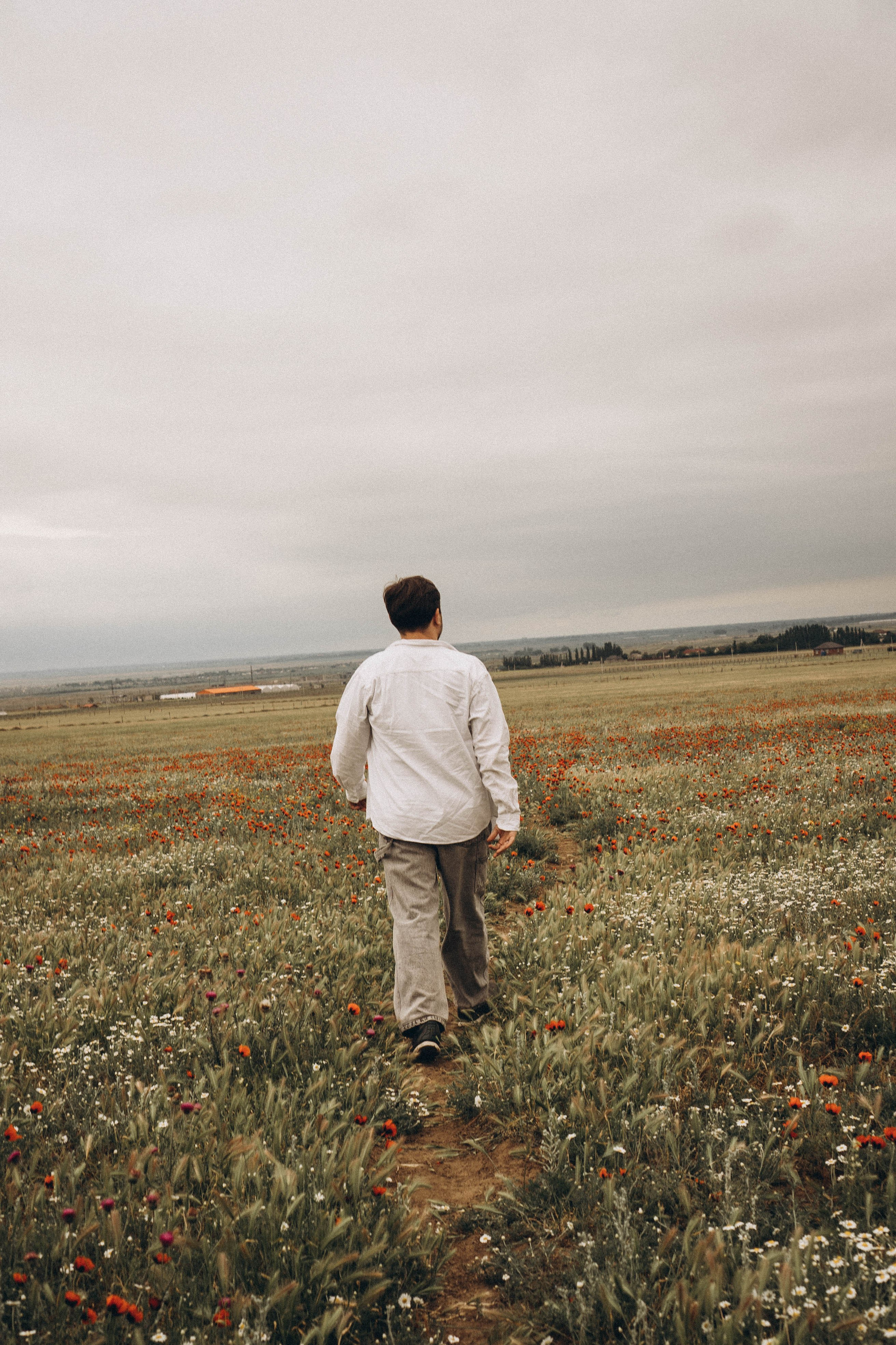 Маки. Профессиональный фотограф, Санкт-Петербург — Виктория Богомолова