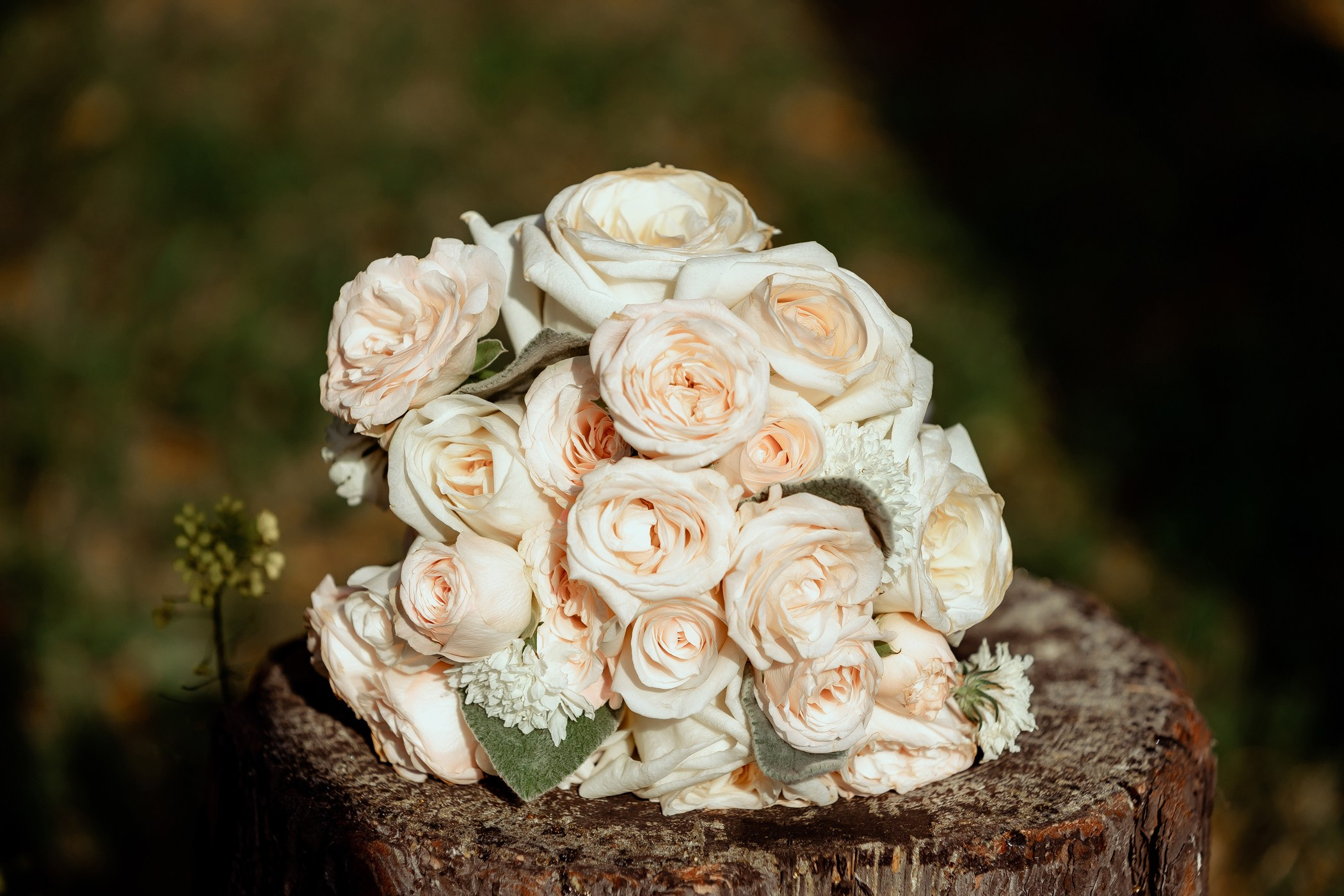 Руслан и Анна. Тимур Аминов | Фотограф в Кемерове