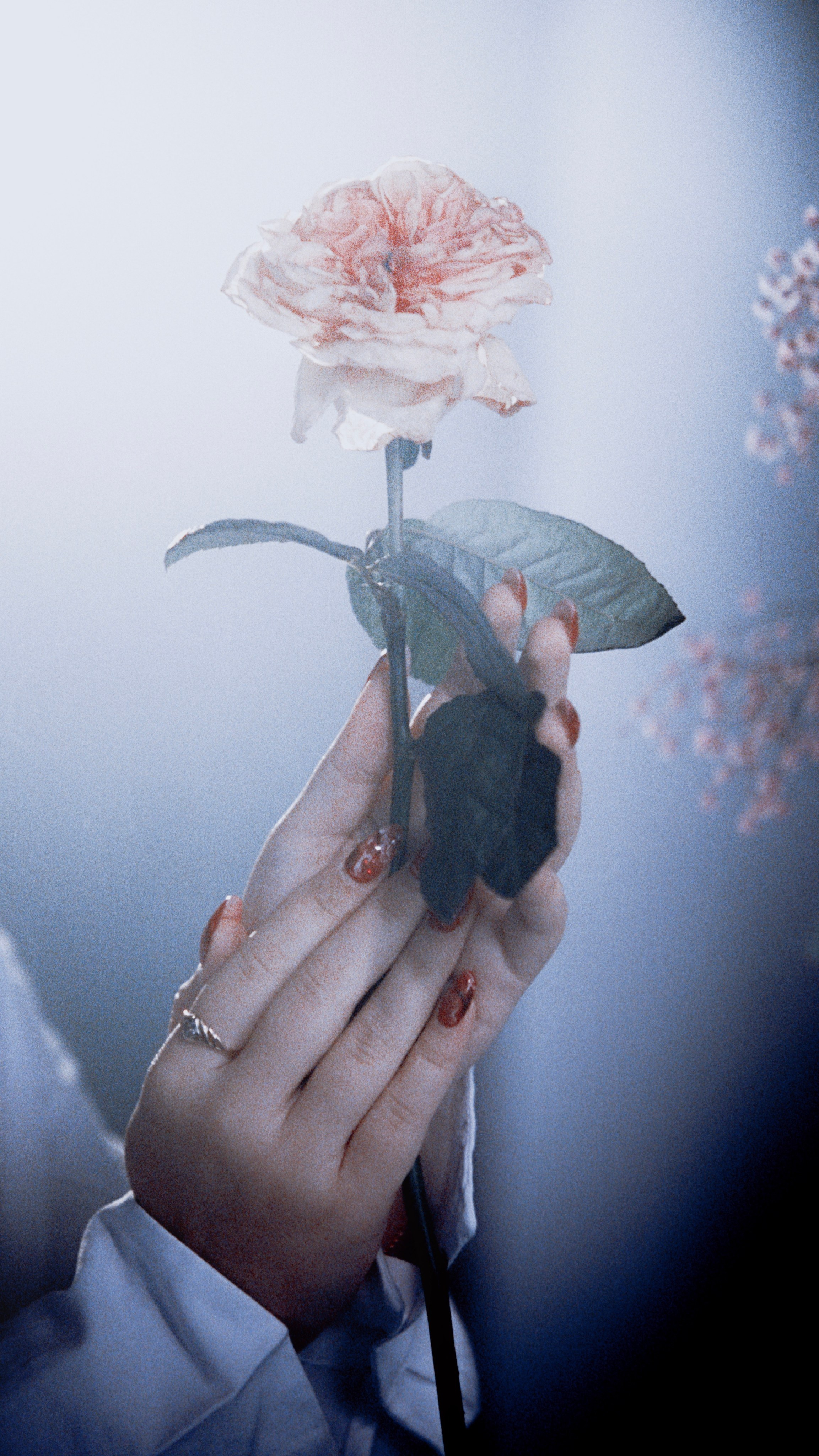 Пленочная история. Дмитрий Пропадалин, Нейрофотография